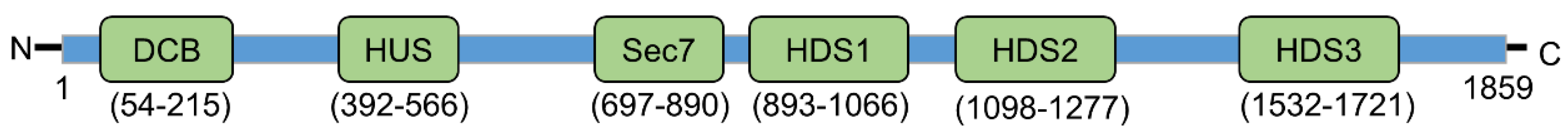 Viruses 12 00682 g003