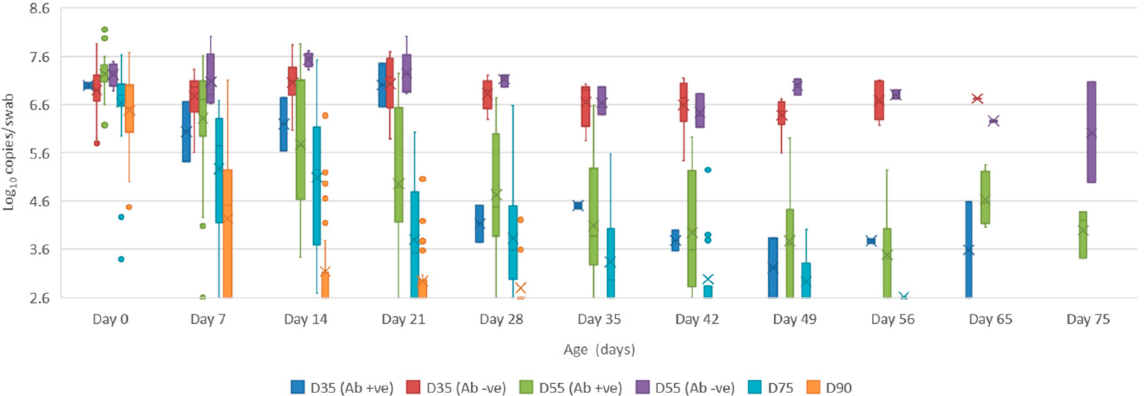 Viruses 12 00691 g004