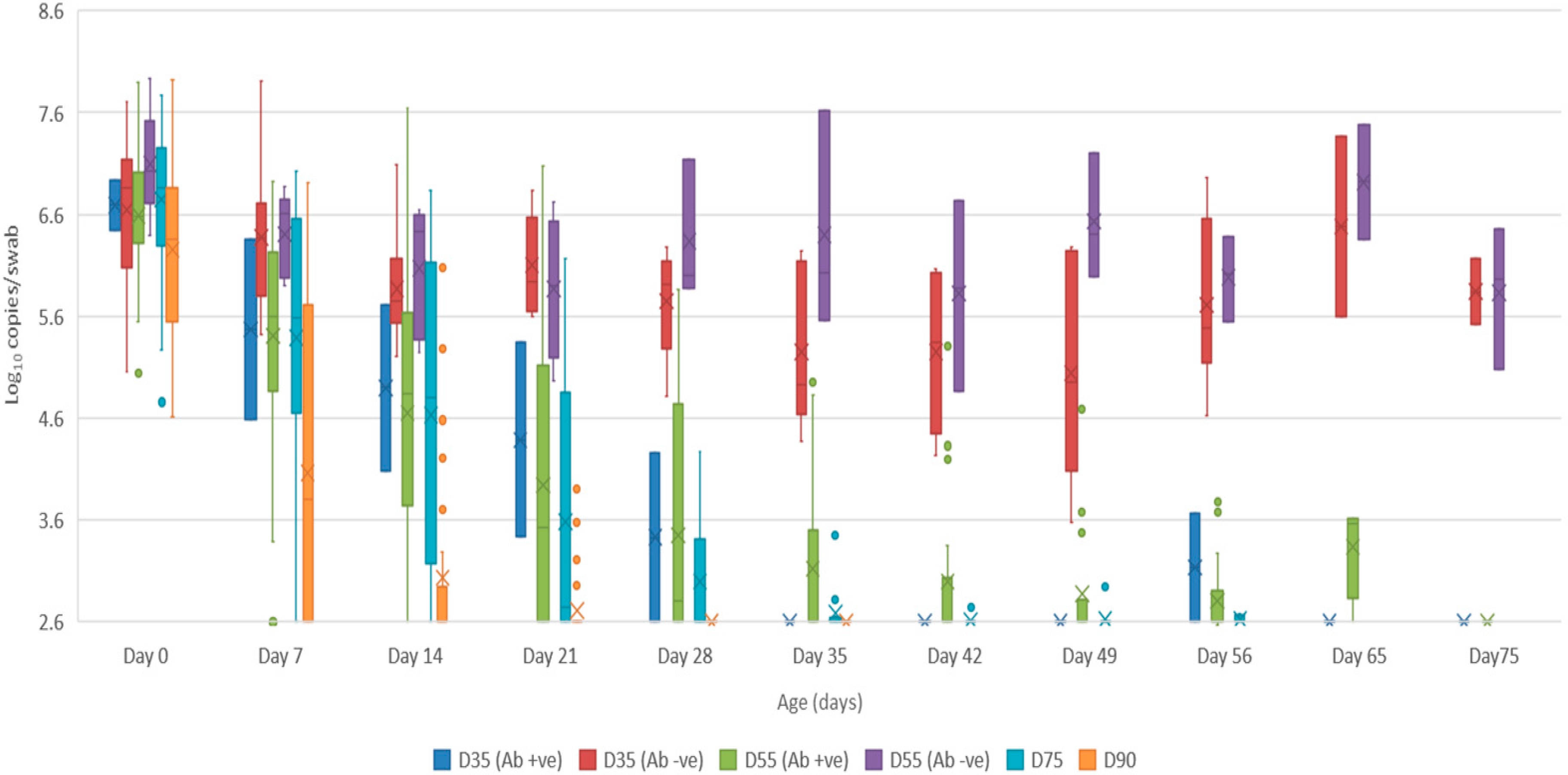 Viruses 12 00691 g005