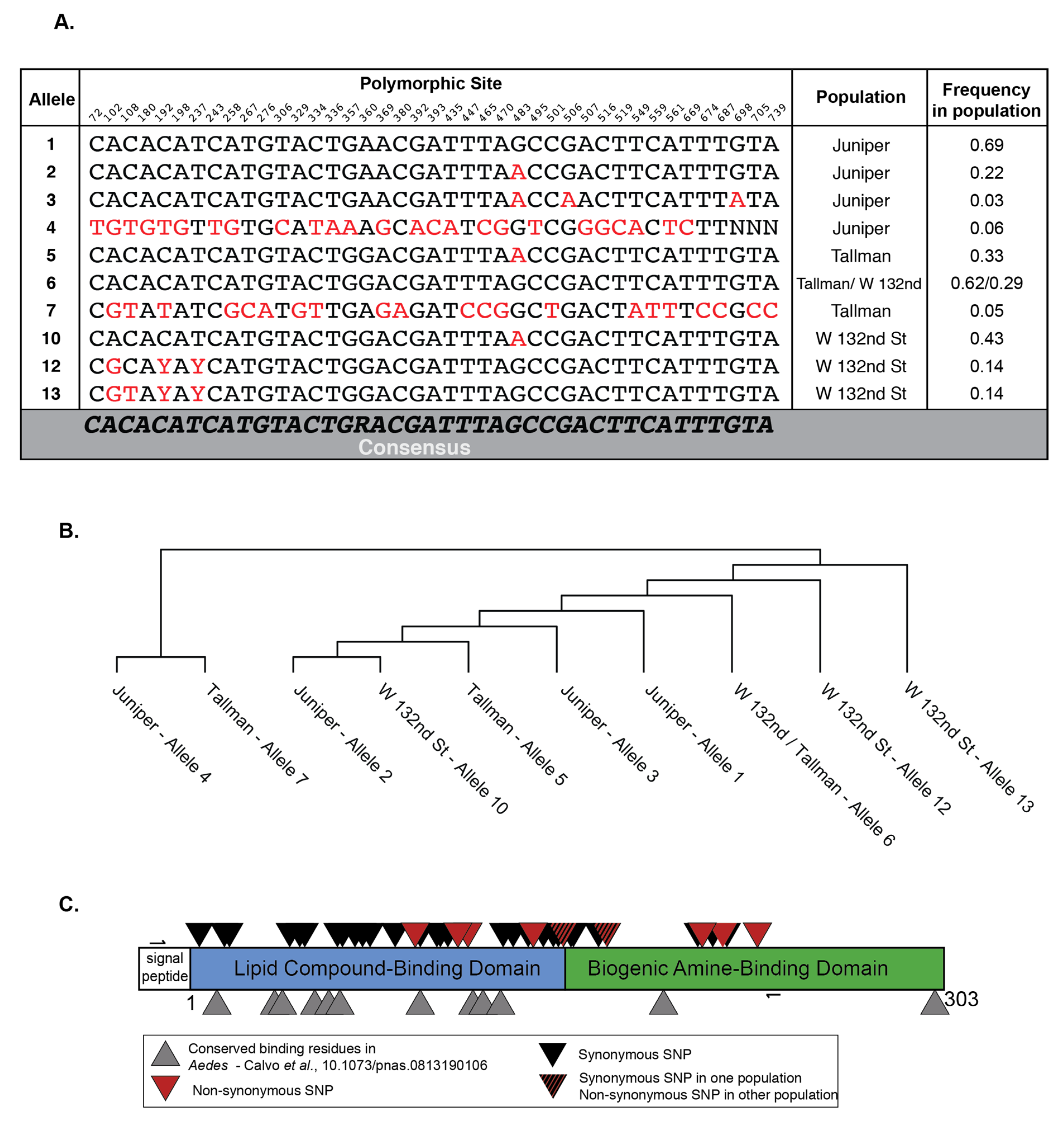 Viruses 12 00698 g002 Viruses 12 00698 g002