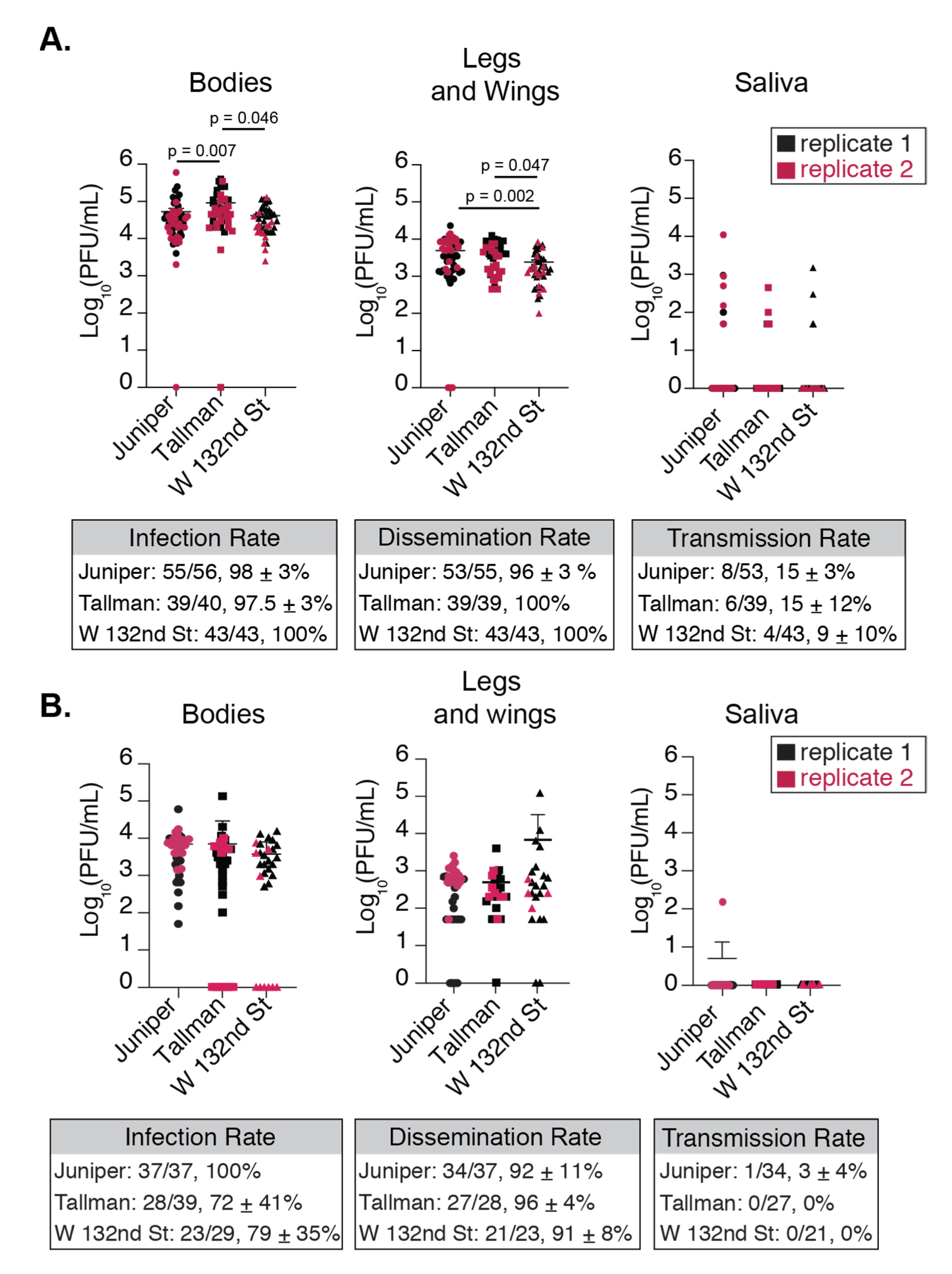 Viruses 12 00698 g003 Viruses 12 00698 g003