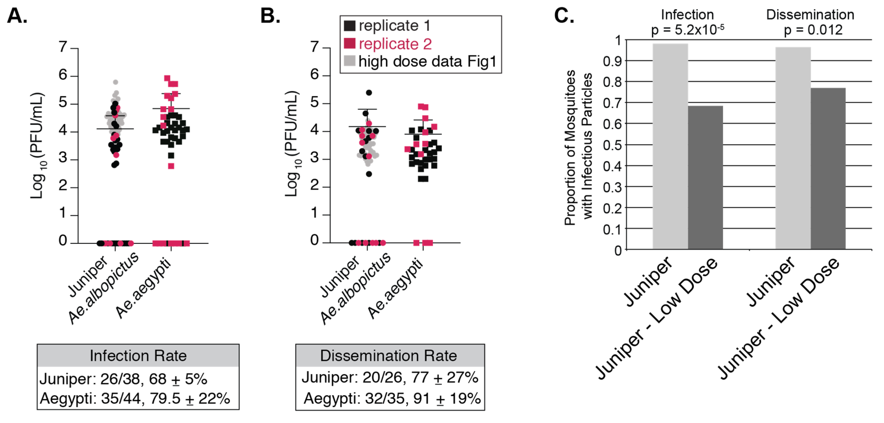 Viruses 12 00698 g004 Viruses 12 00698 g004
