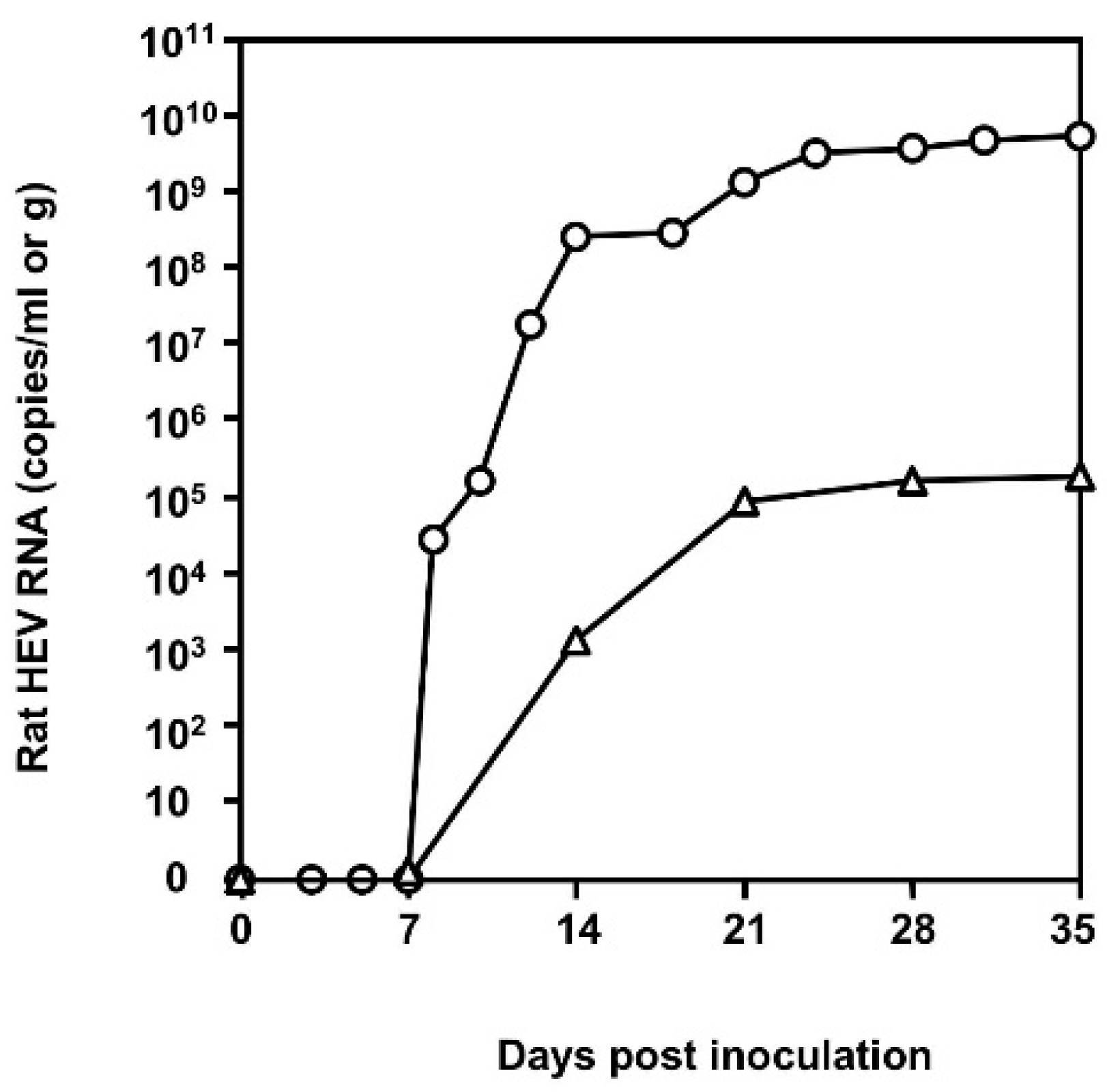 Viruses 12 00715 g001