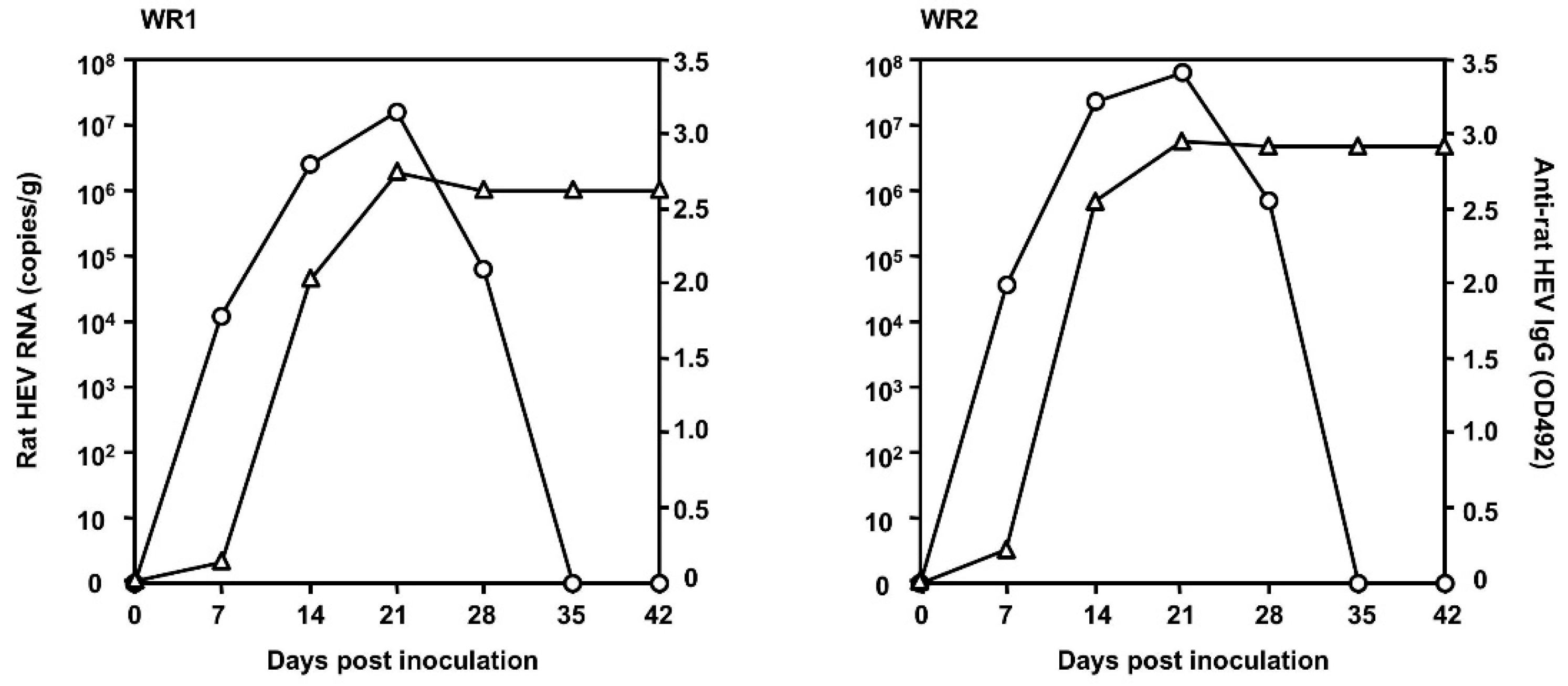 Viruses 12 00715 g003