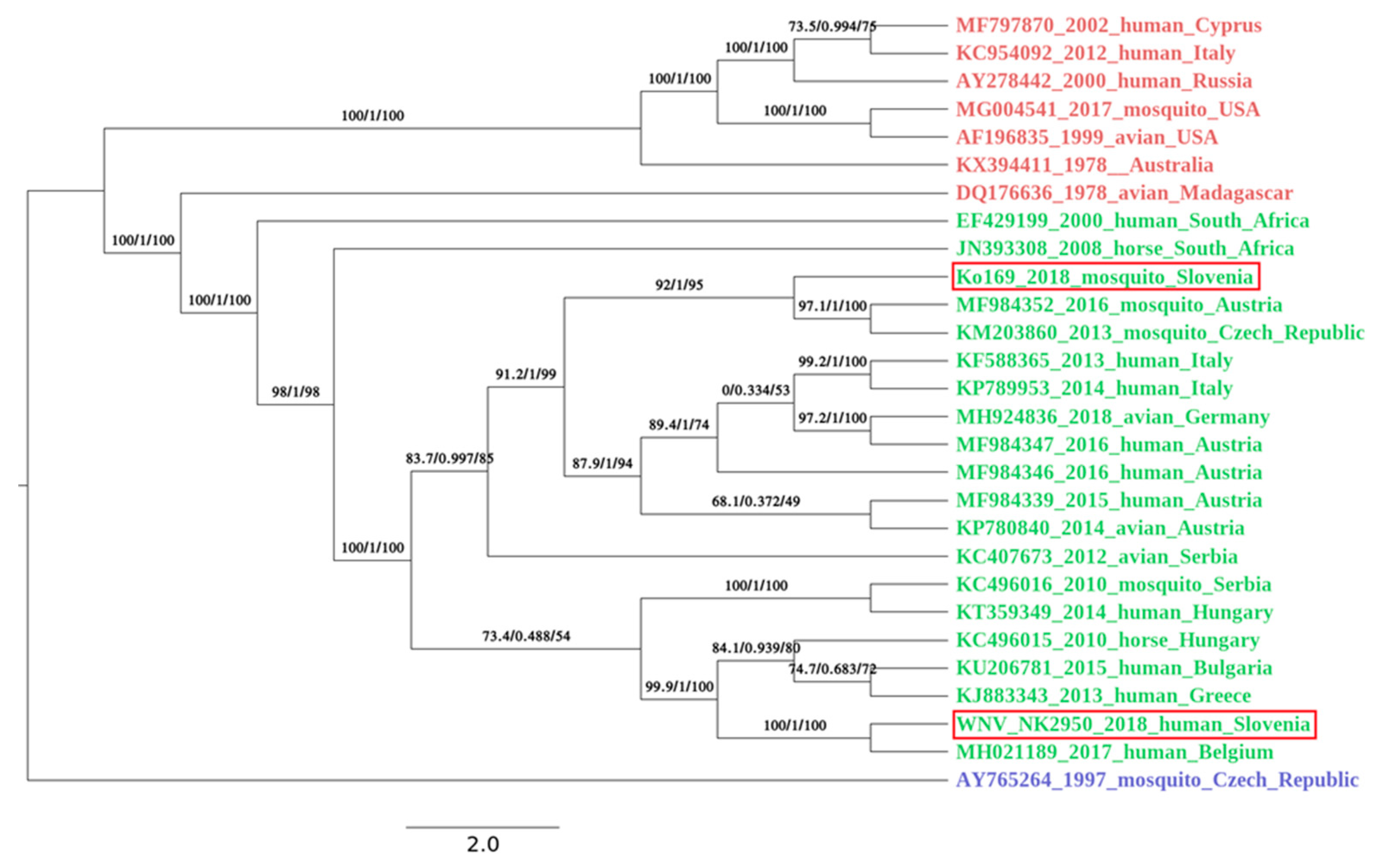 Viruses 12 00720 g003 Viruses 12 00720 g003