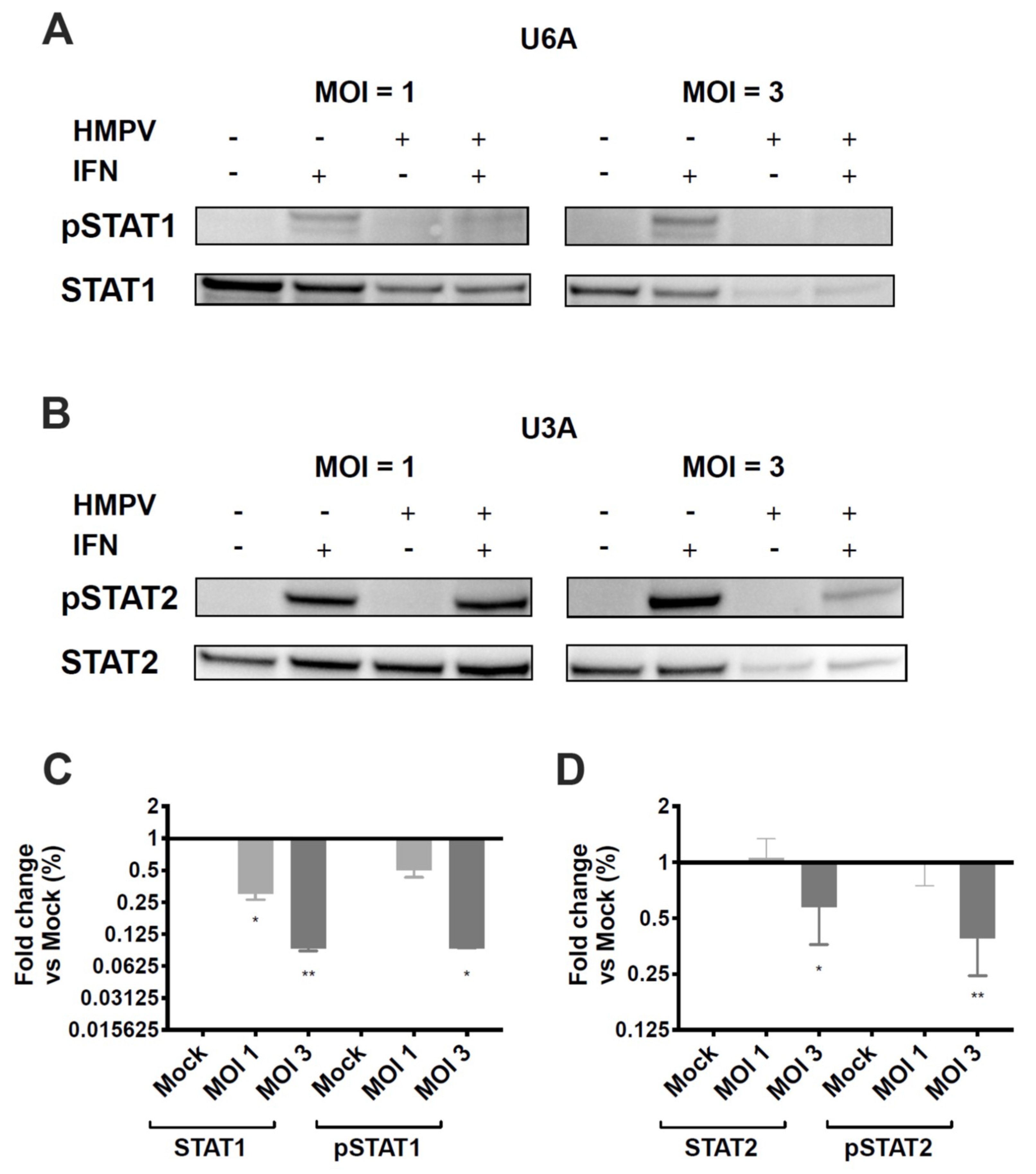 Viruses 12 00724 g005 Viruses 12 00724 g005