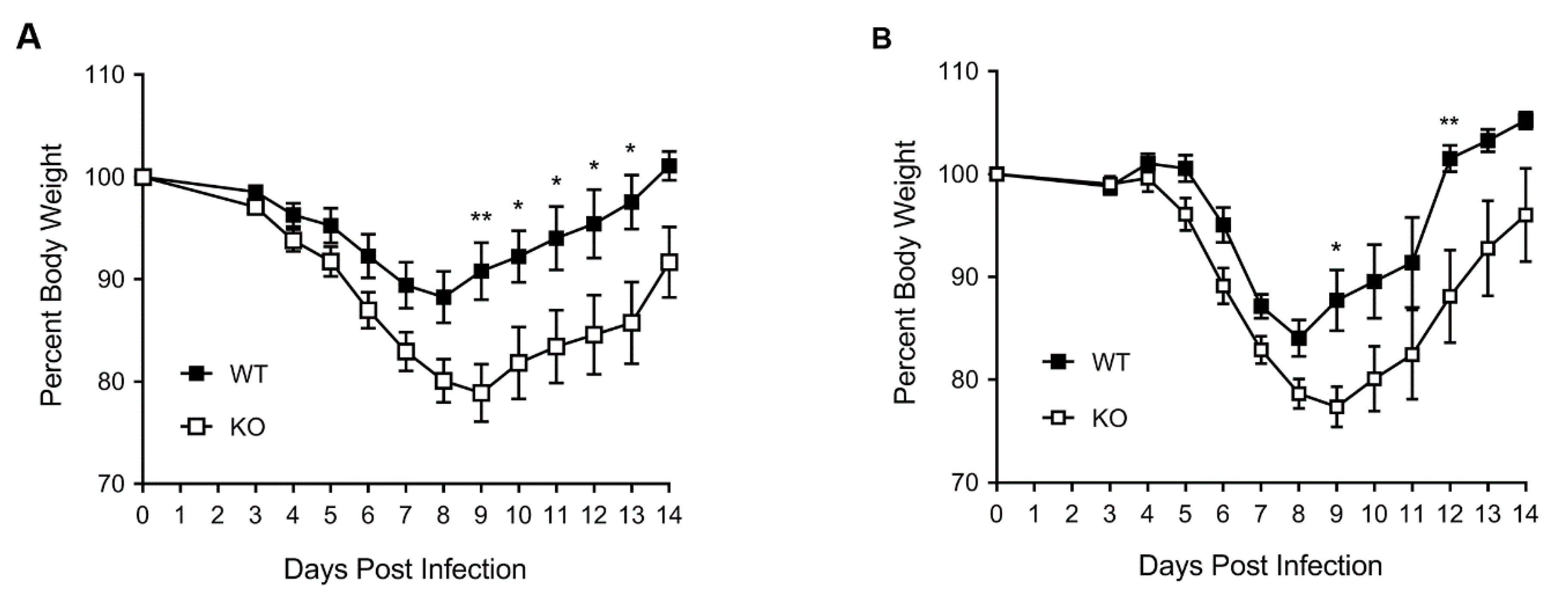 Viruses 12 00728 g001 Viruses 12 00728 g001