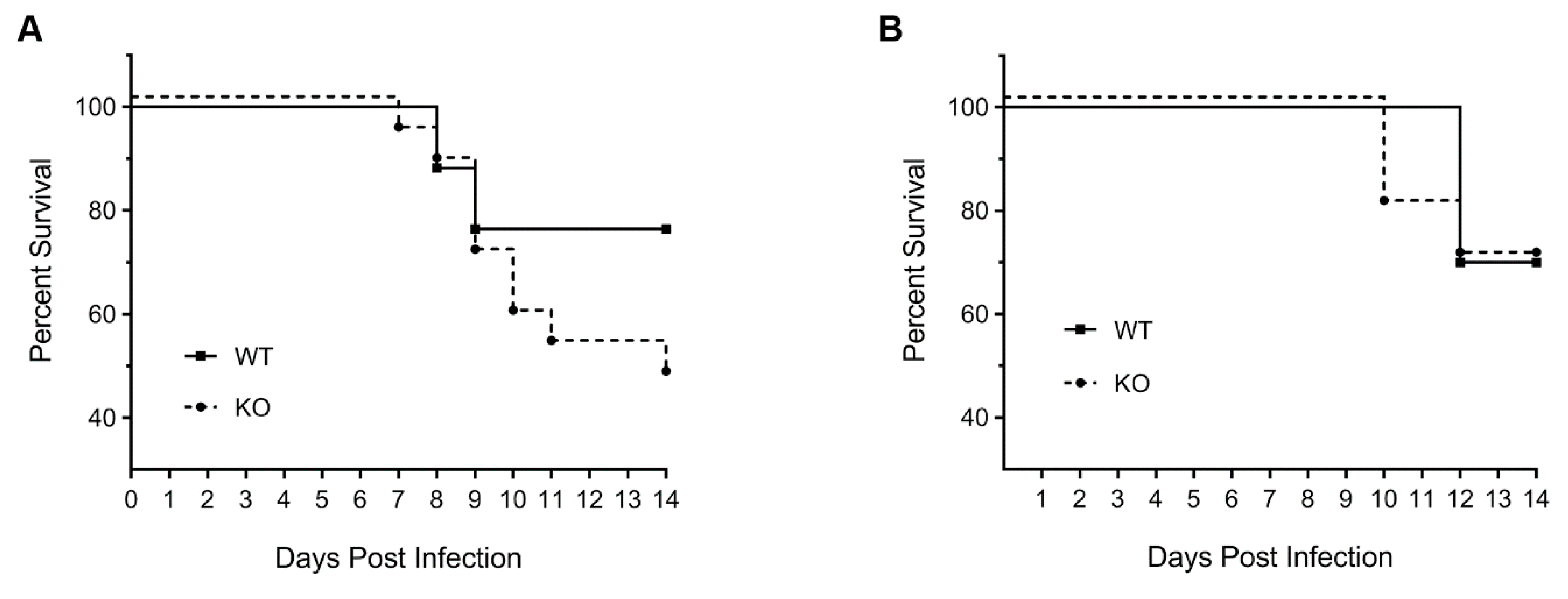 Viruses 12 00728 g002 Viruses 12 00728 g002