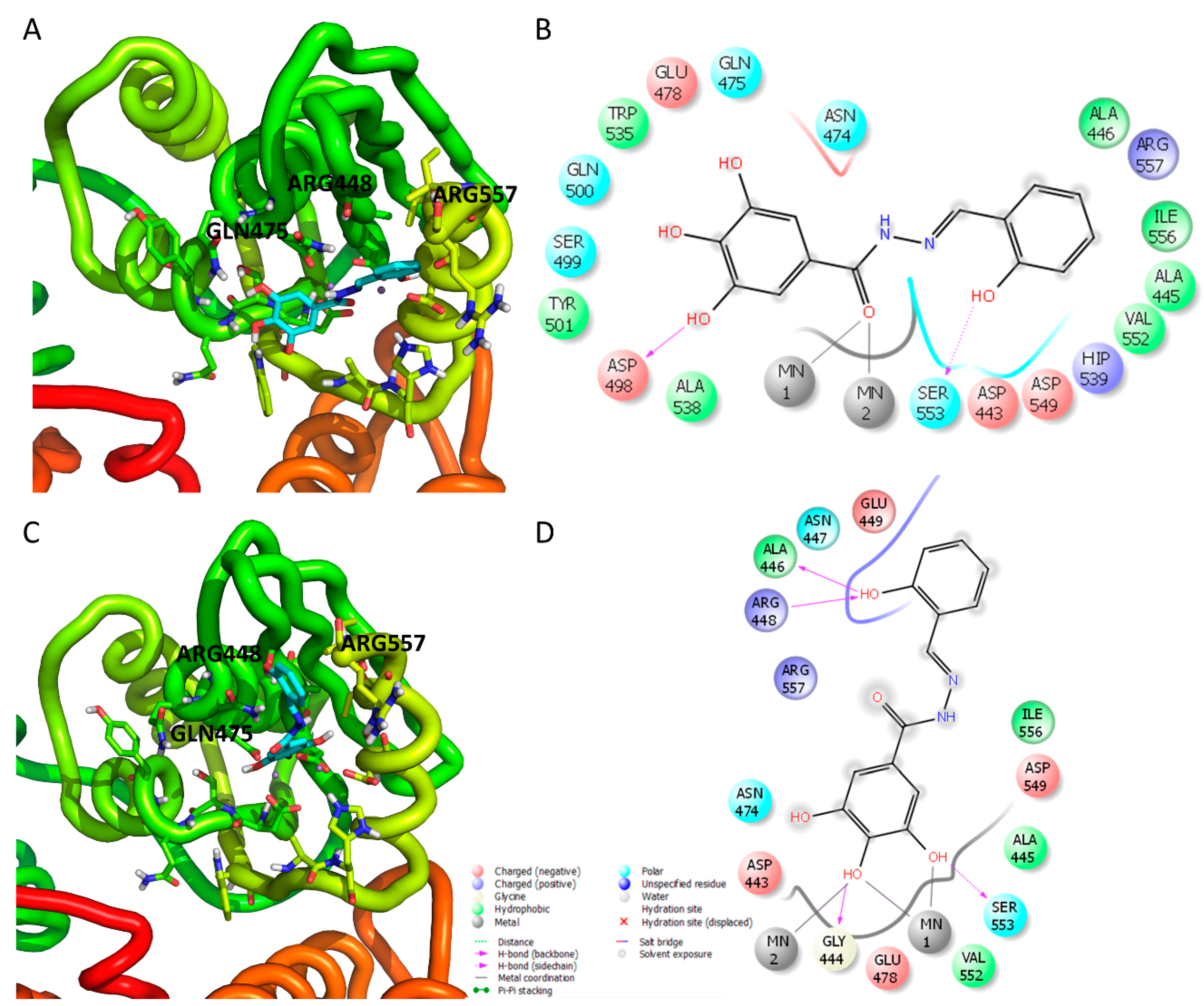 Viruses 12 00729 g003