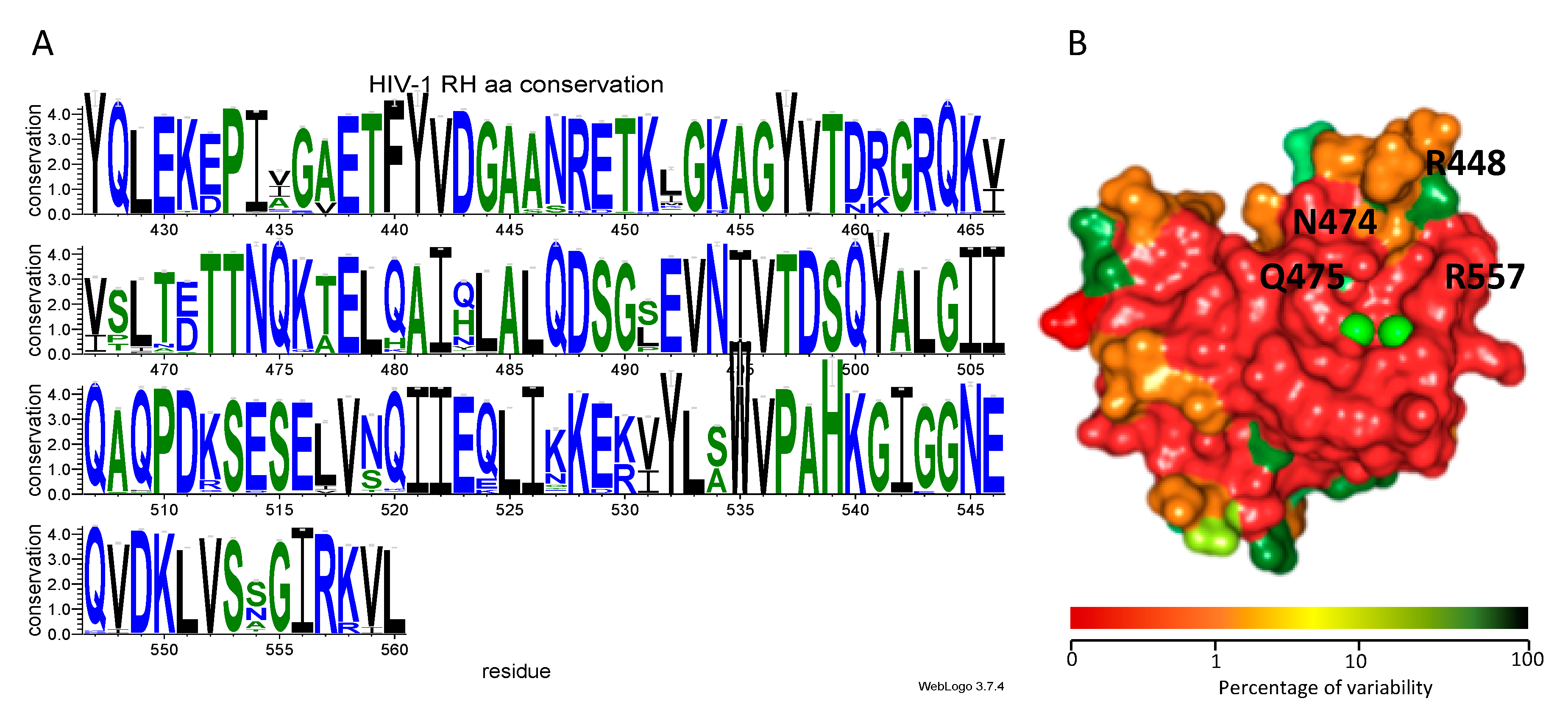 Viruses 12 00729 g005