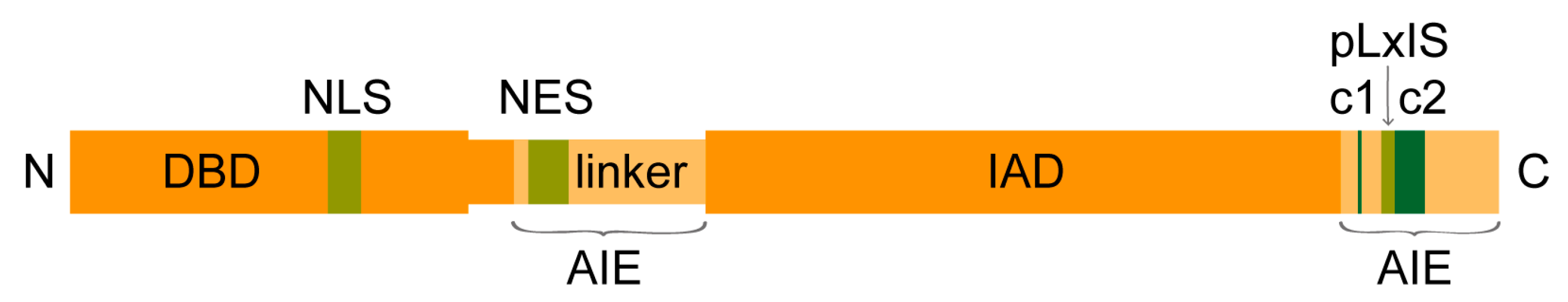 Viruses 12 00733 g001 Viruses 12 00733 g001