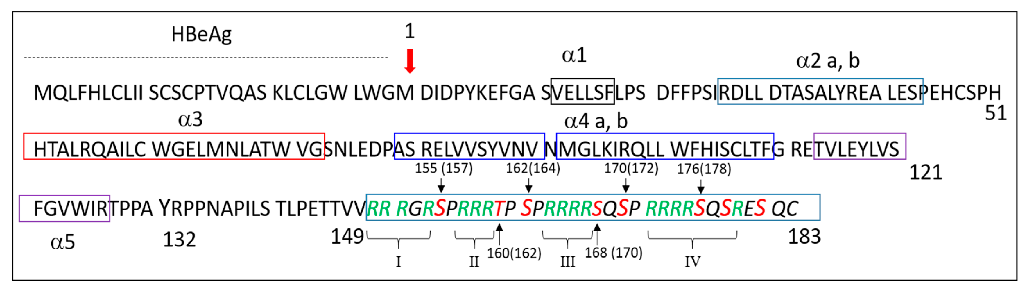 Viruses 12 00738 g002