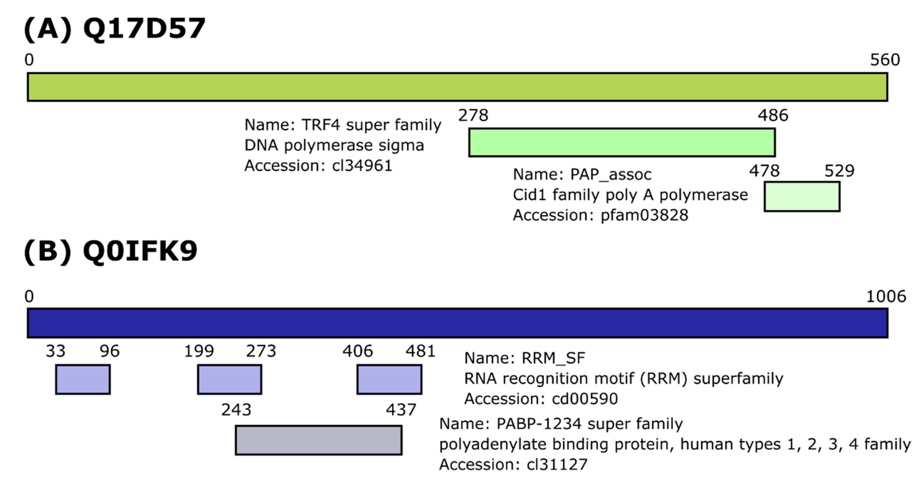 Viruses 12 00748 g002 Viruses 12 00748 g002