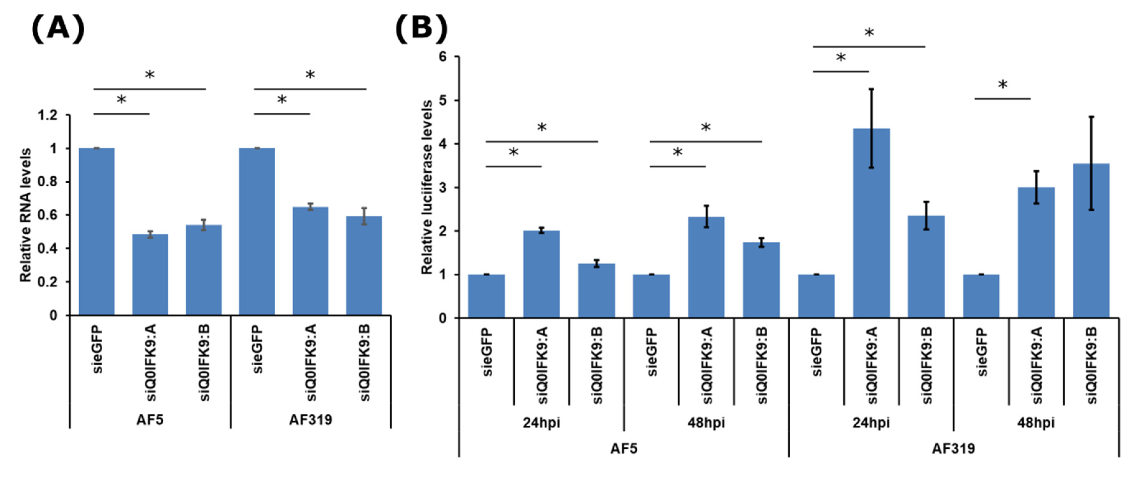Viruses 12 00748 g005 Viruses 12 00748 g005
