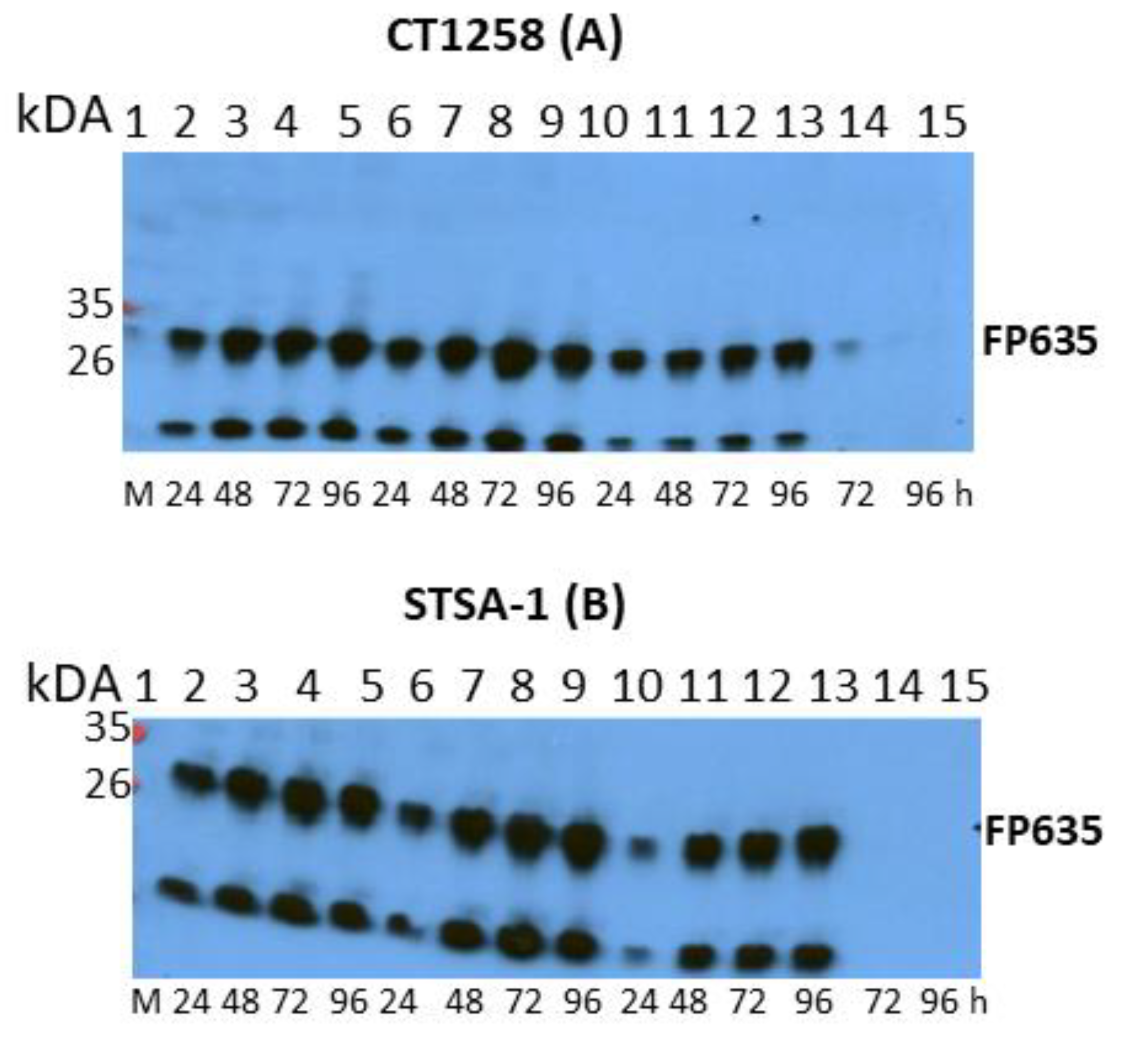 Viruses 12 00750 g002