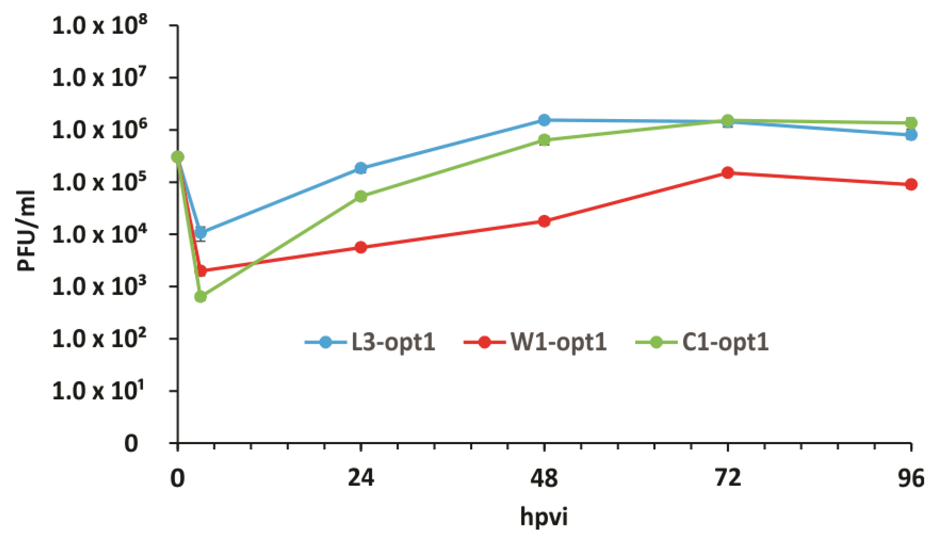 Viruses 12 00750 g005