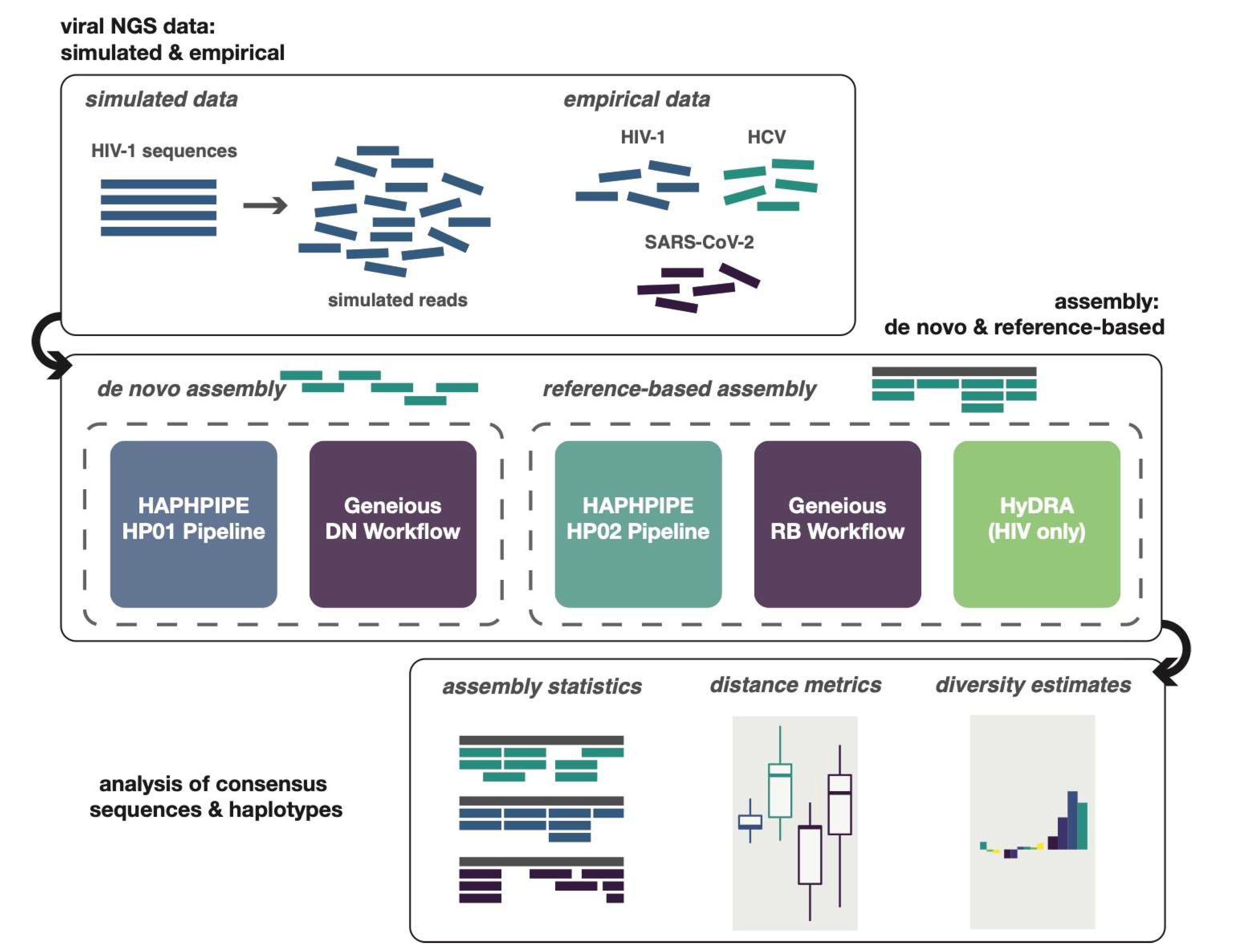 Viruses 12 00758 g001