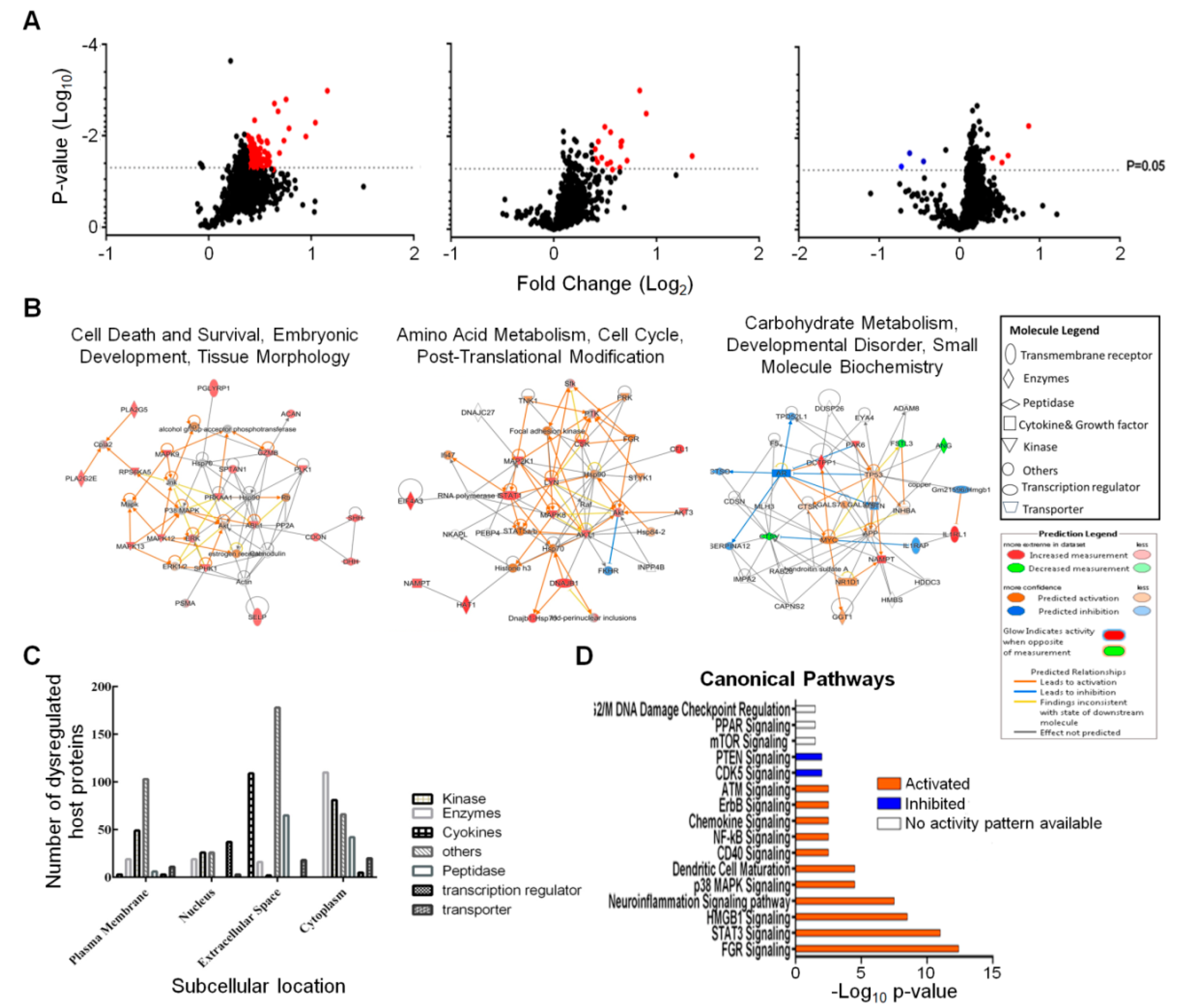 Viruses 12 00771 g002