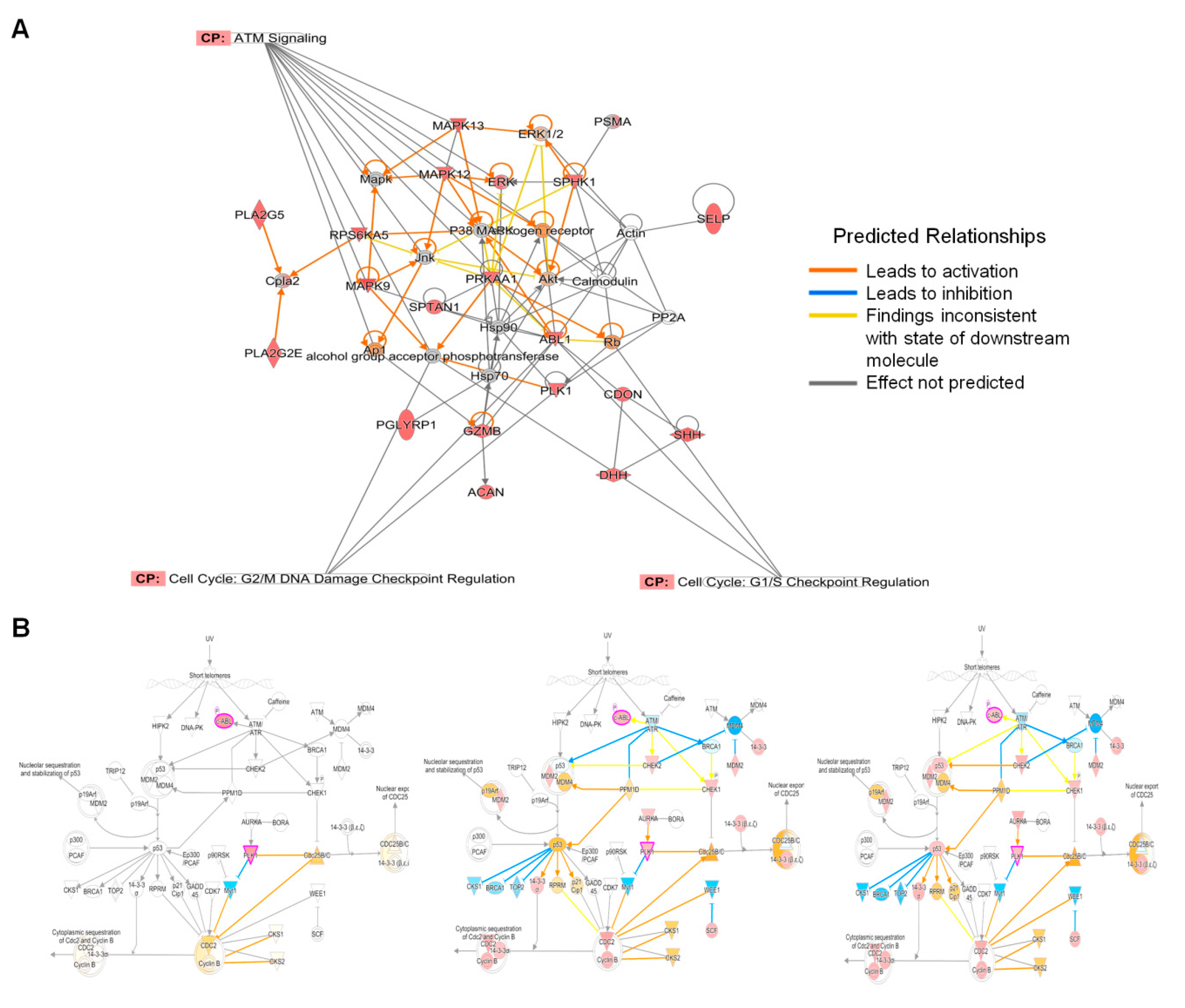 Viruses 12 00771 g004