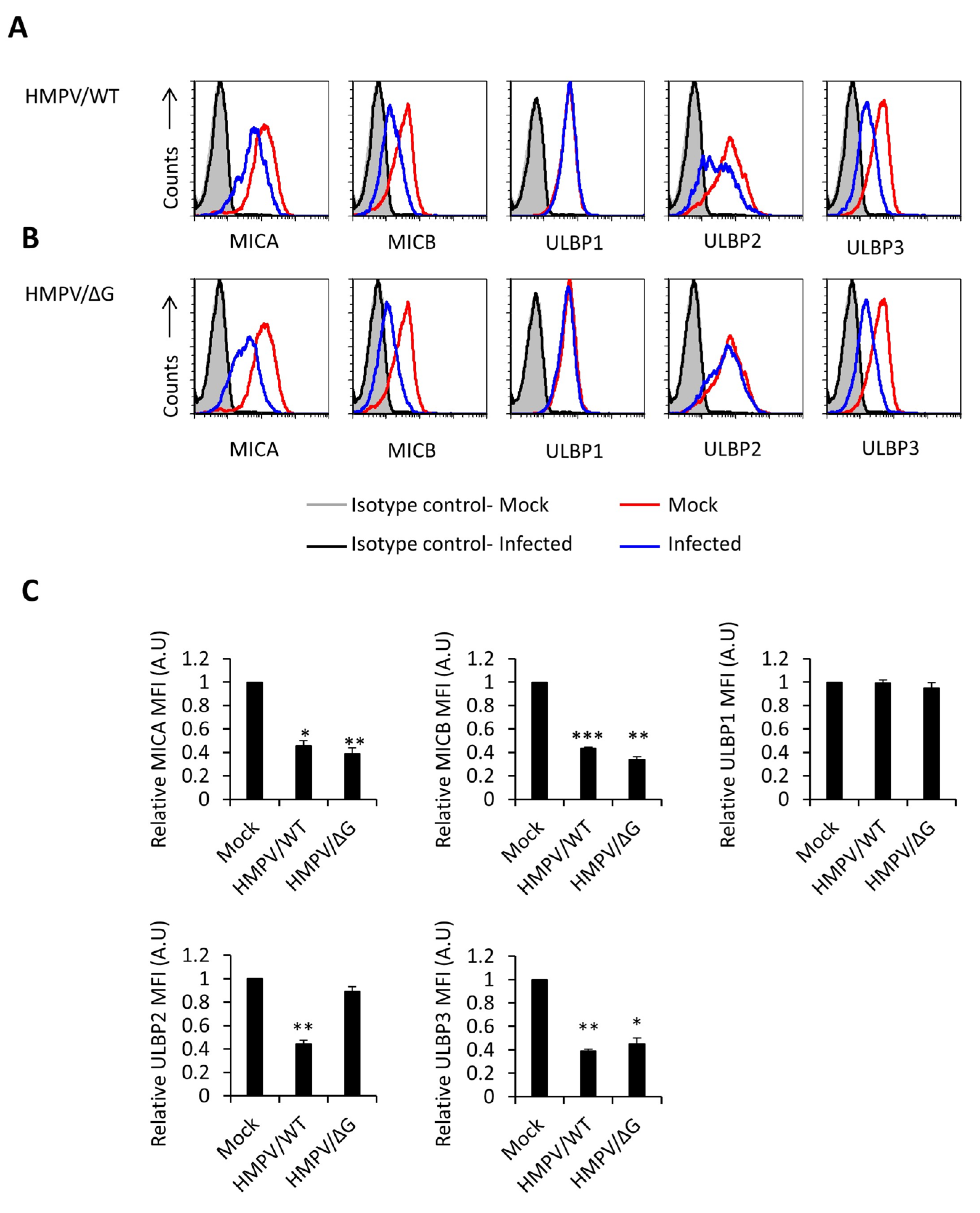 Viruses 12 00781 g001