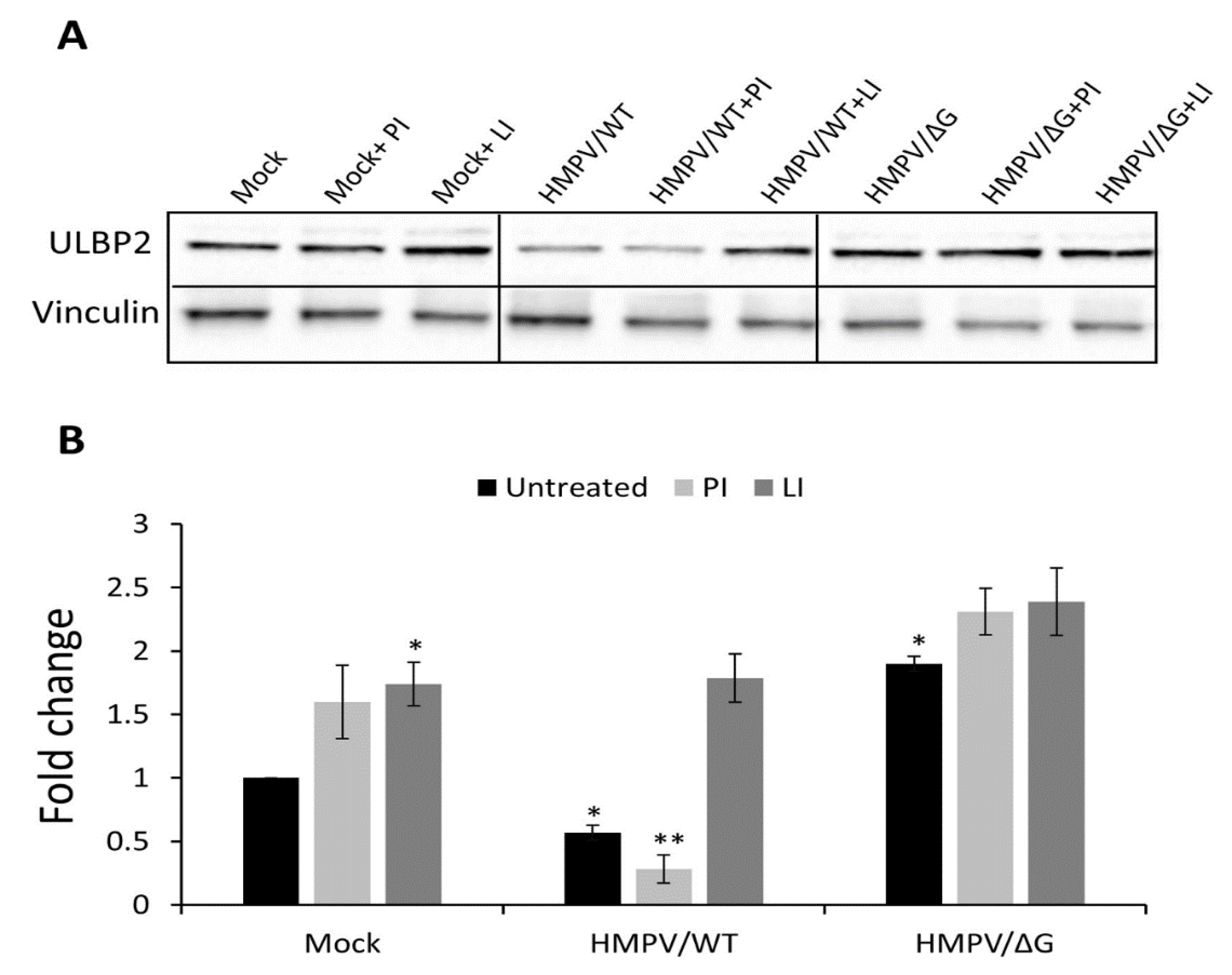 Viruses 12 00781 g004