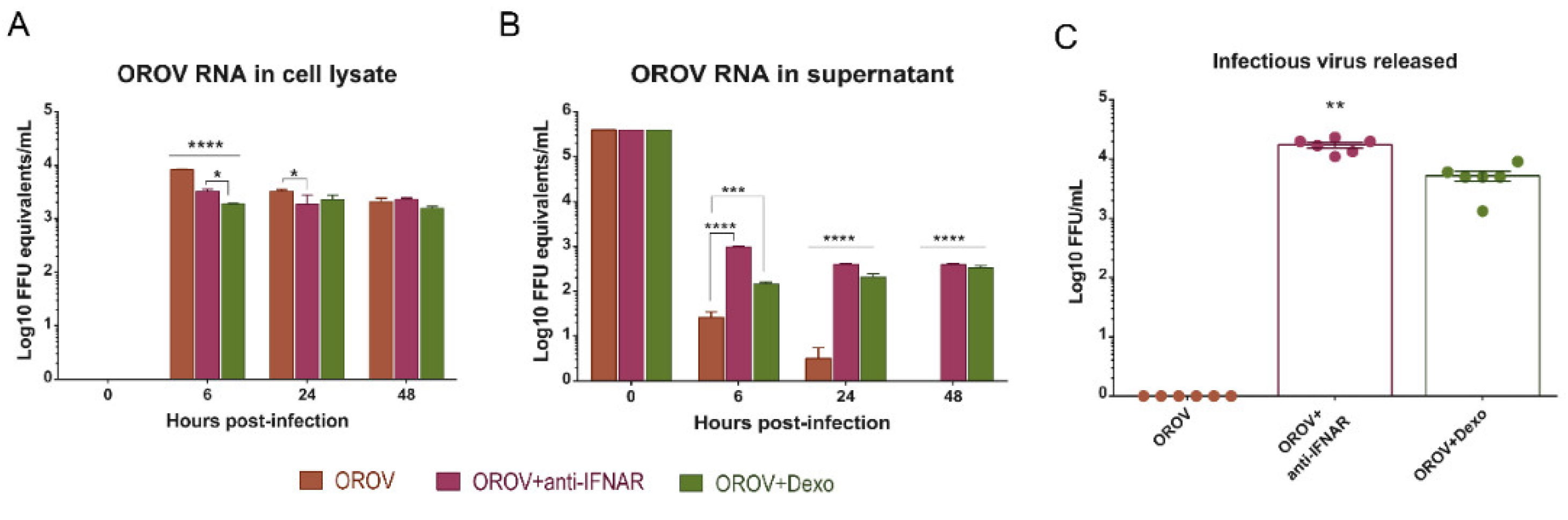 Viruses 12 00785 g005