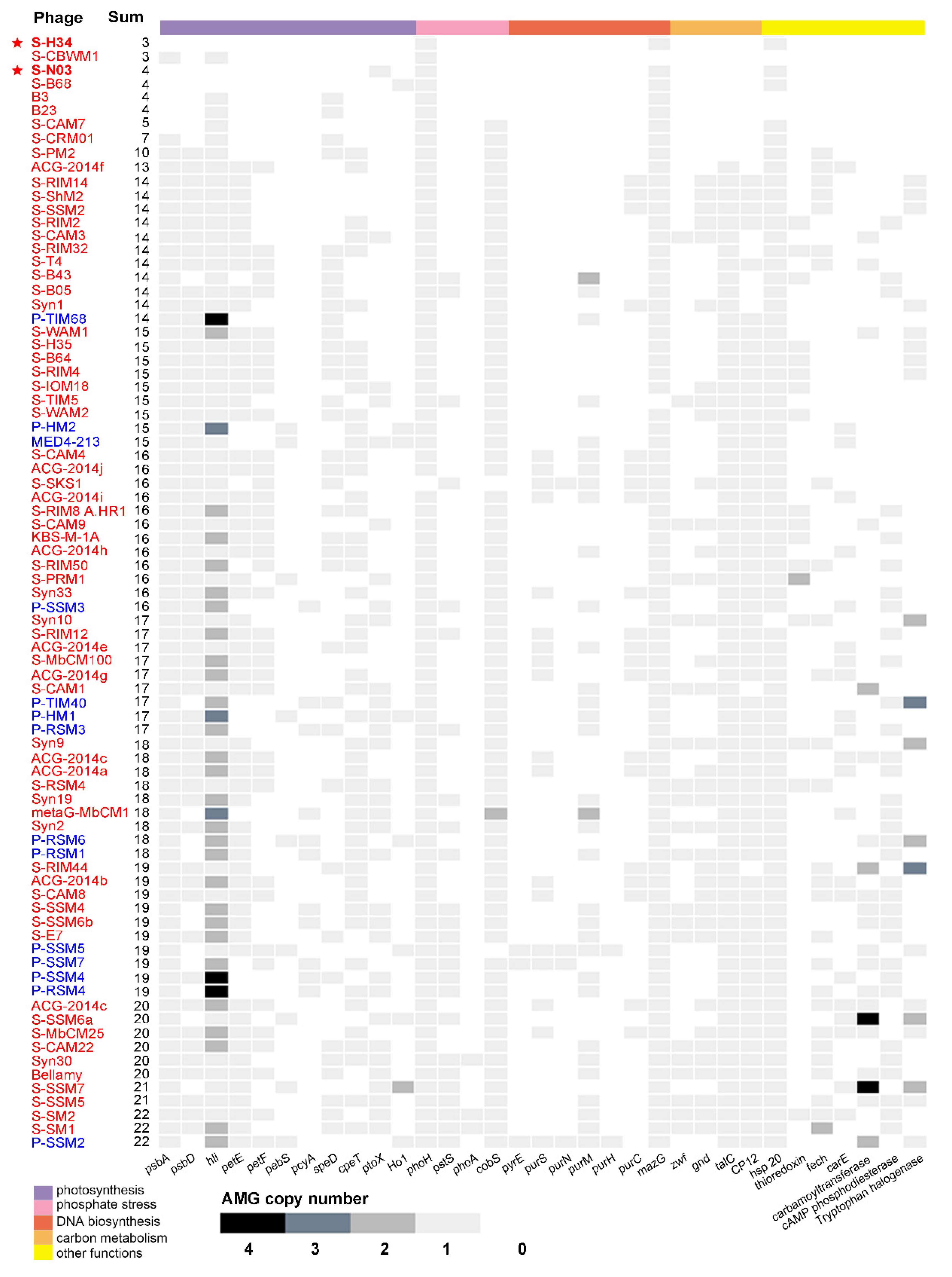 Viruses 12 00800 g003