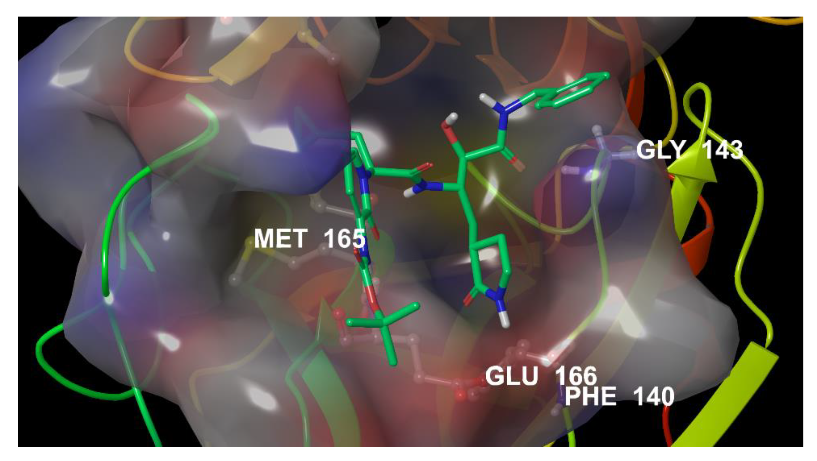 Viruses 12 00805 g002