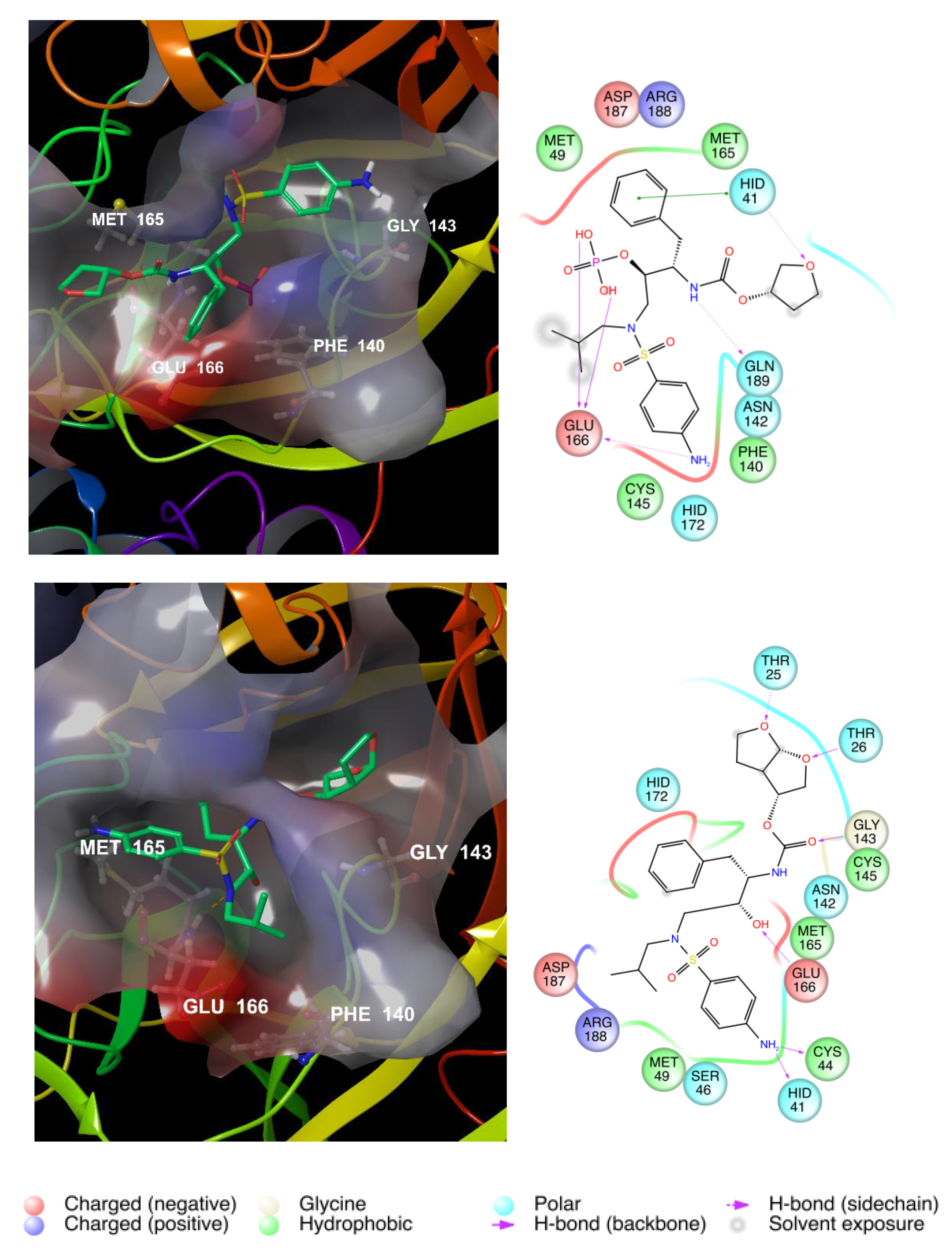 Viruses 12 00805 g005
