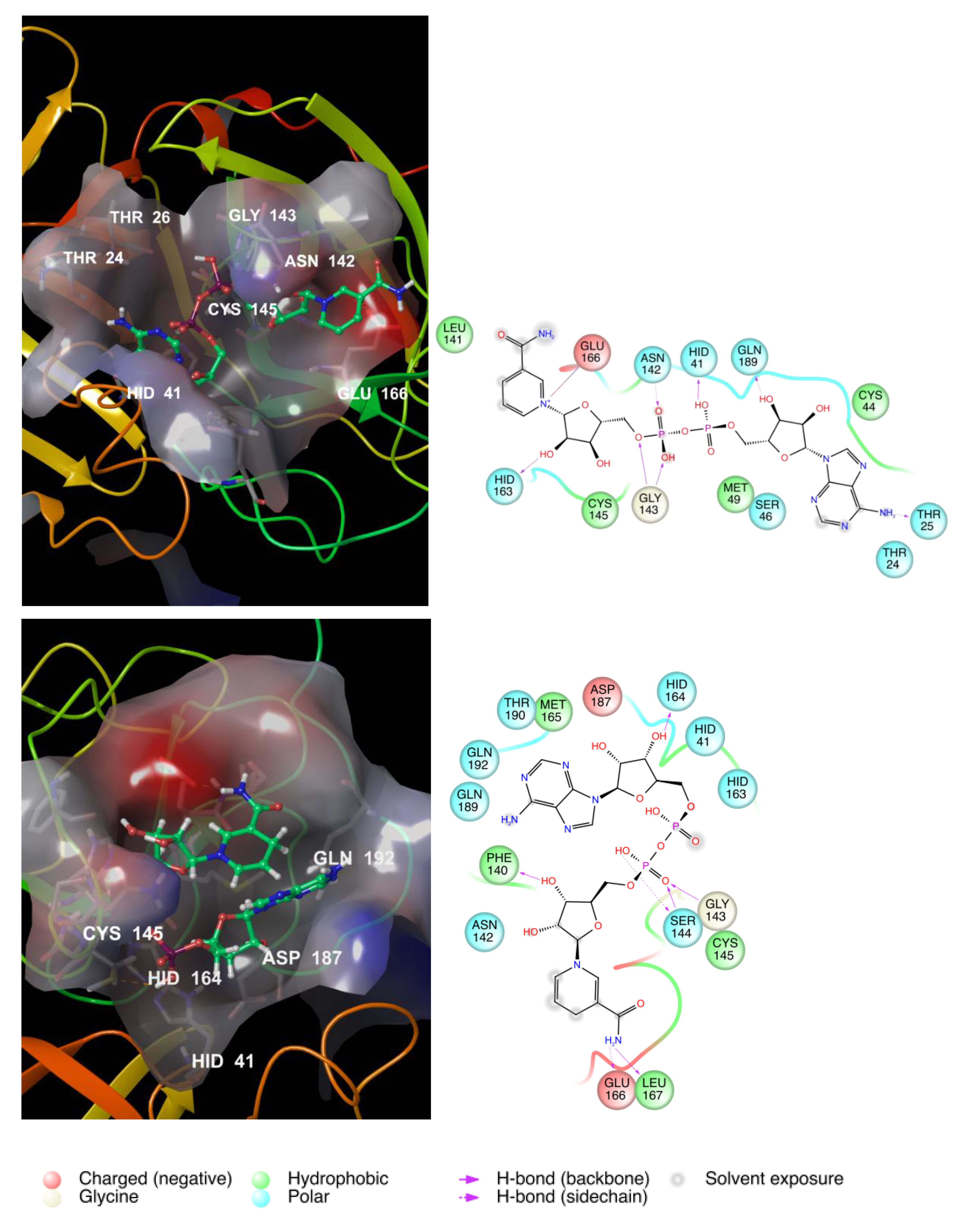Viruses 12 00805 g007