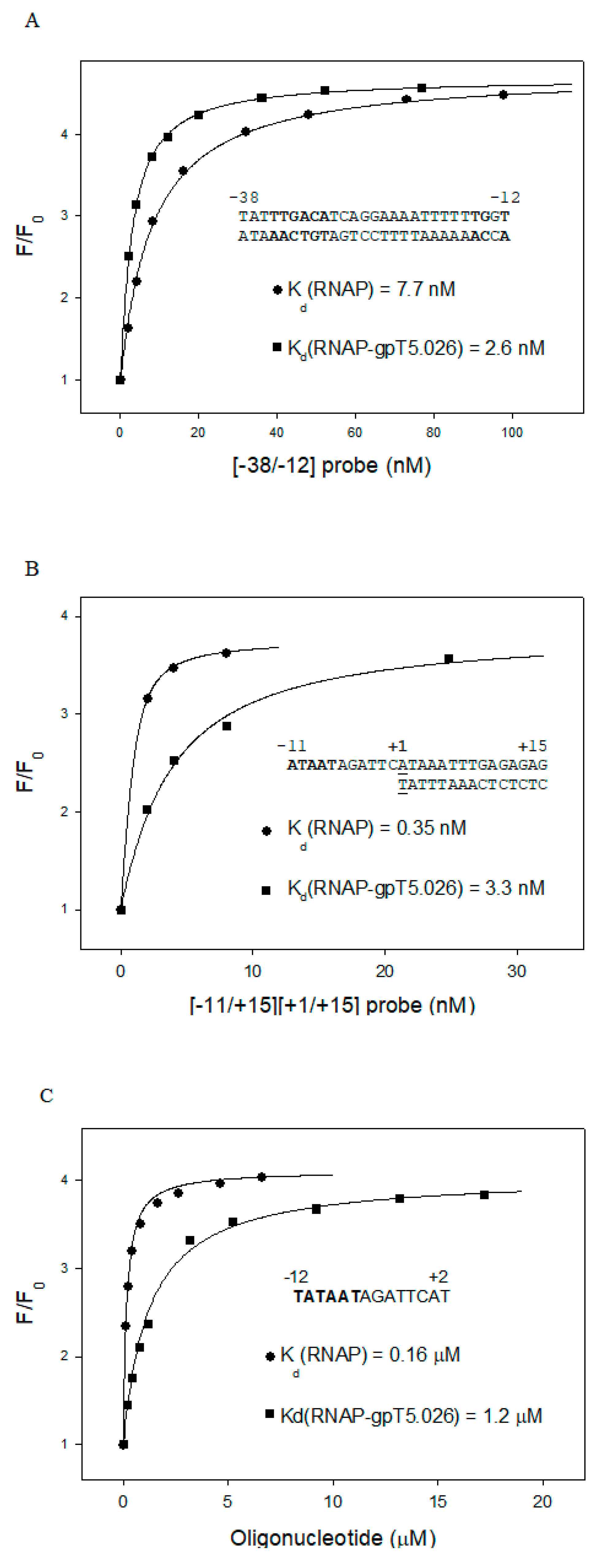 Viruses 12 00807 g007 Viruses 12 00807 g007
