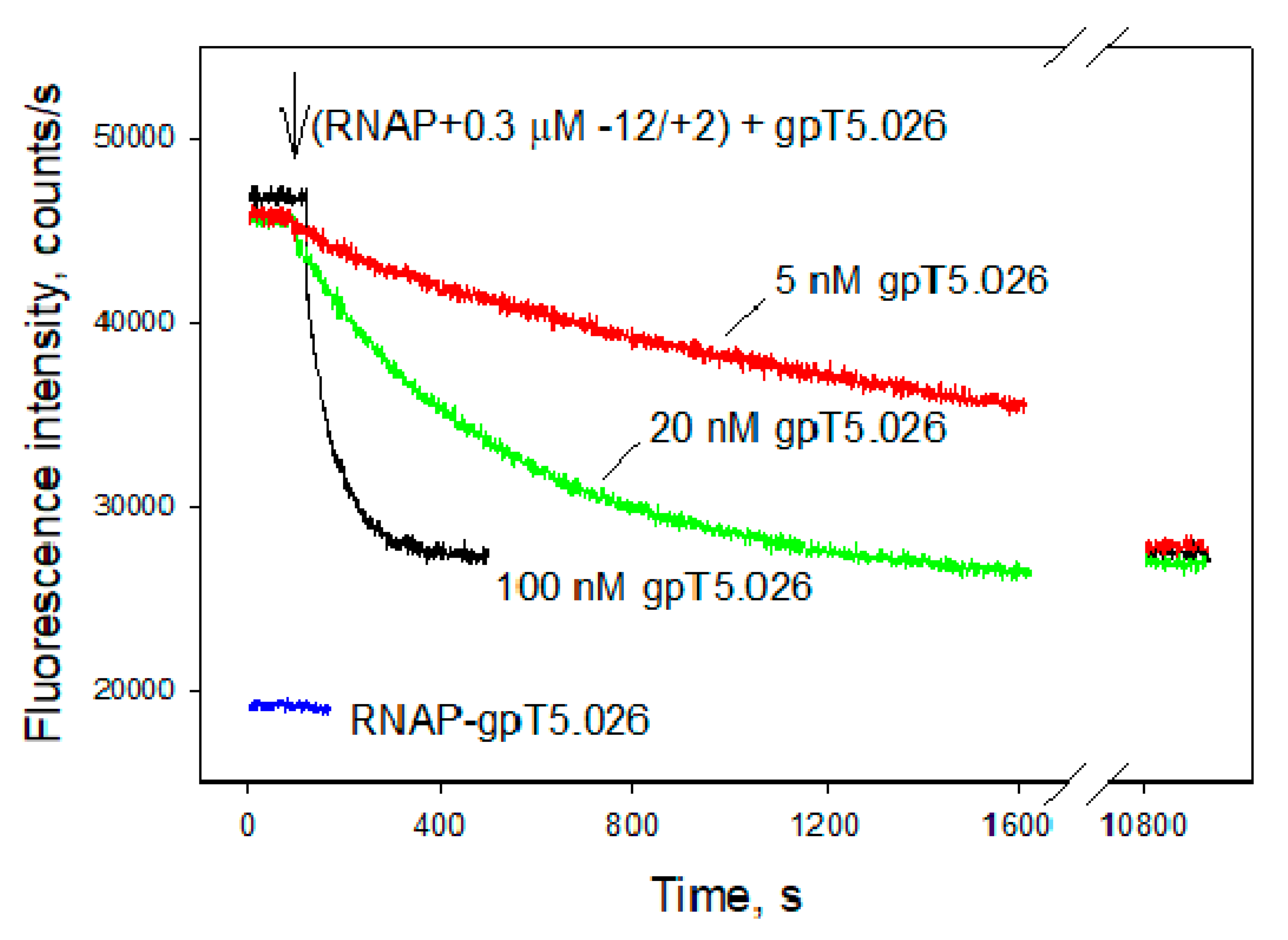Viruses 12 00807 g008 Viruses 12 00807 g008