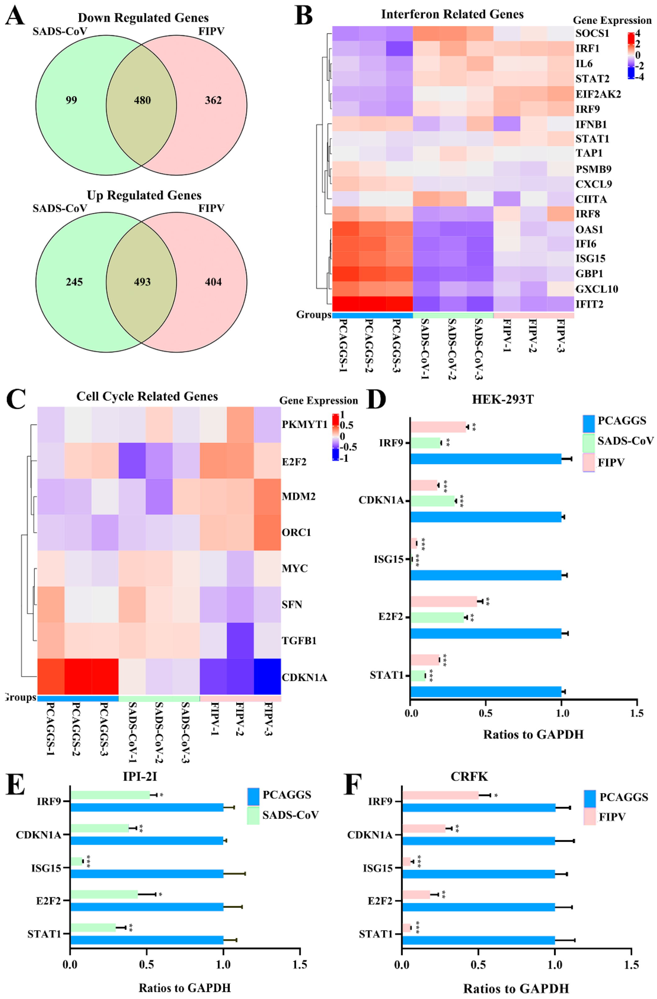 Viruses 12 00812 g005 Viruses 12 00812 g005