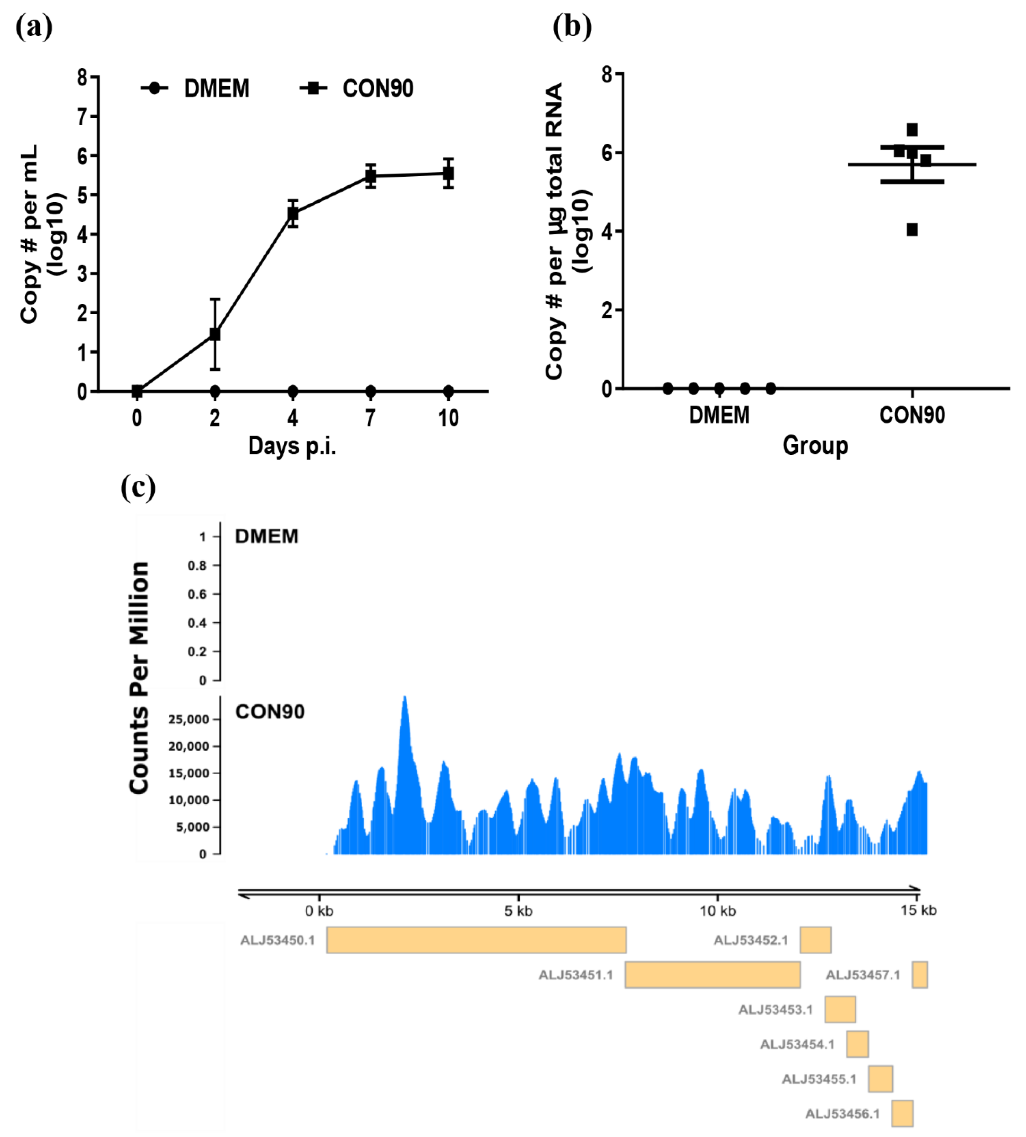 Viruses 12 00817 g001 Viruses 12 00817 g001