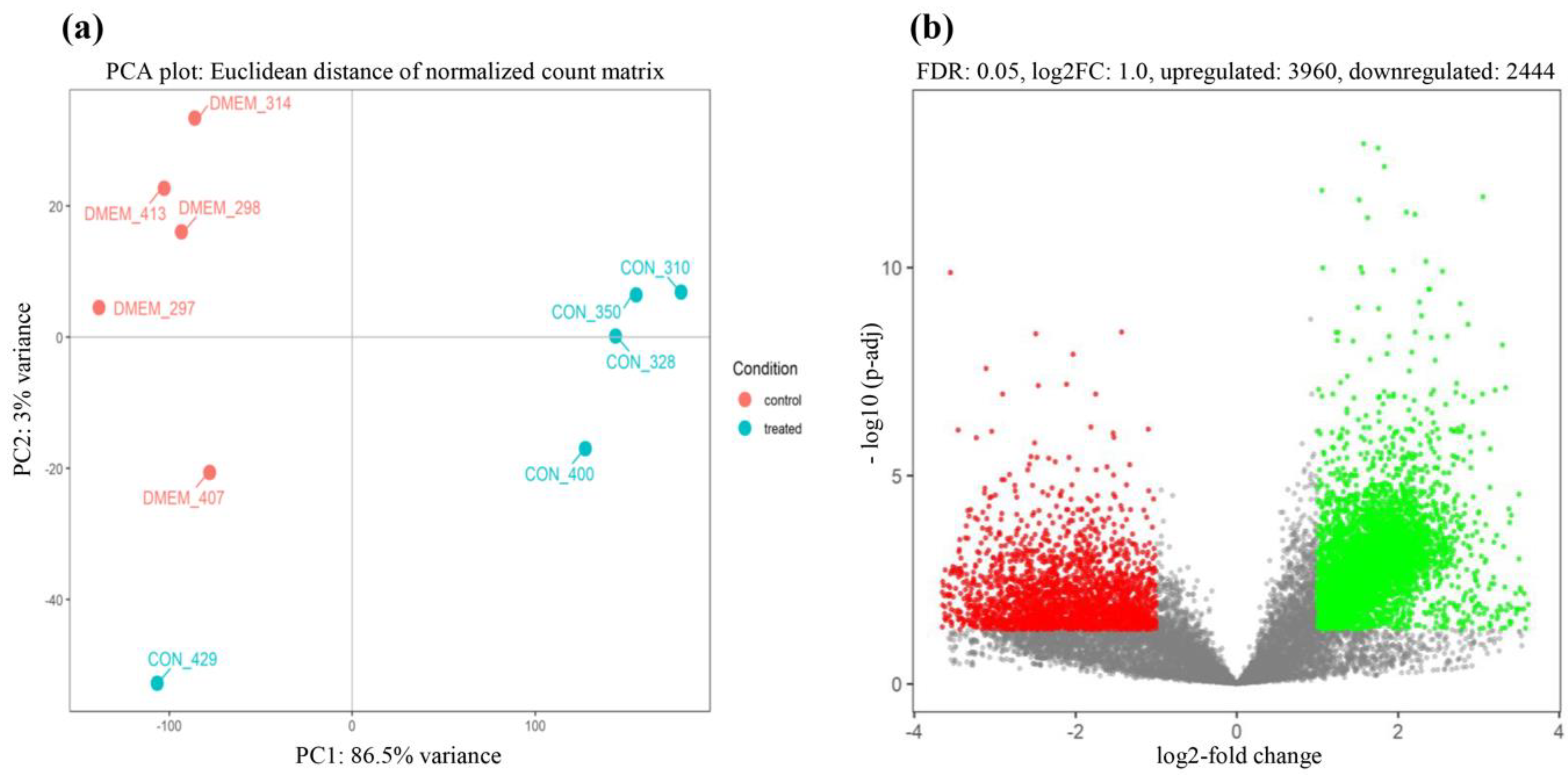 Viruses 12 00817 g002 Viruses 12 00817 g002