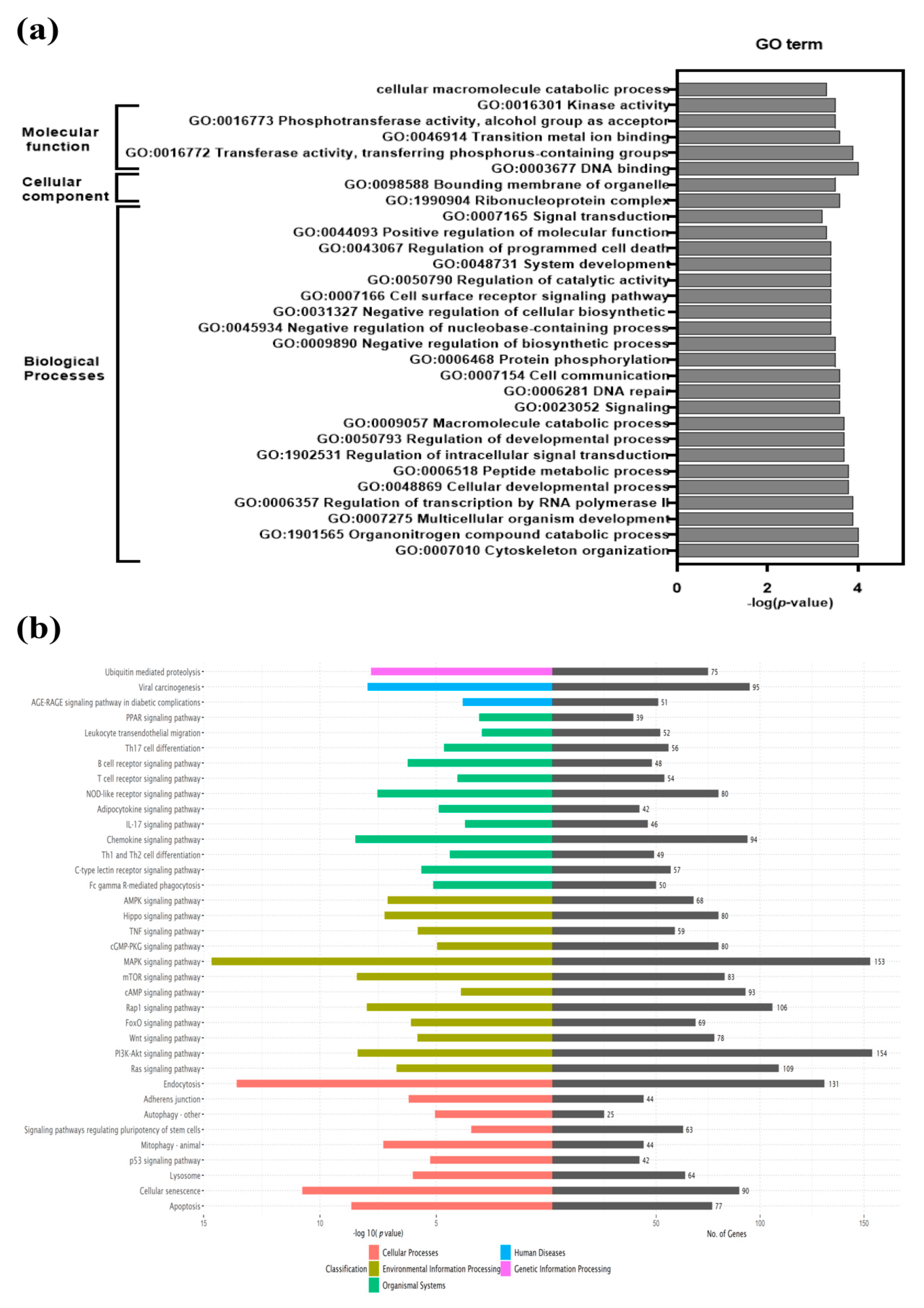 Viruses 12 00817 g003 Viruses 12 00817 g003