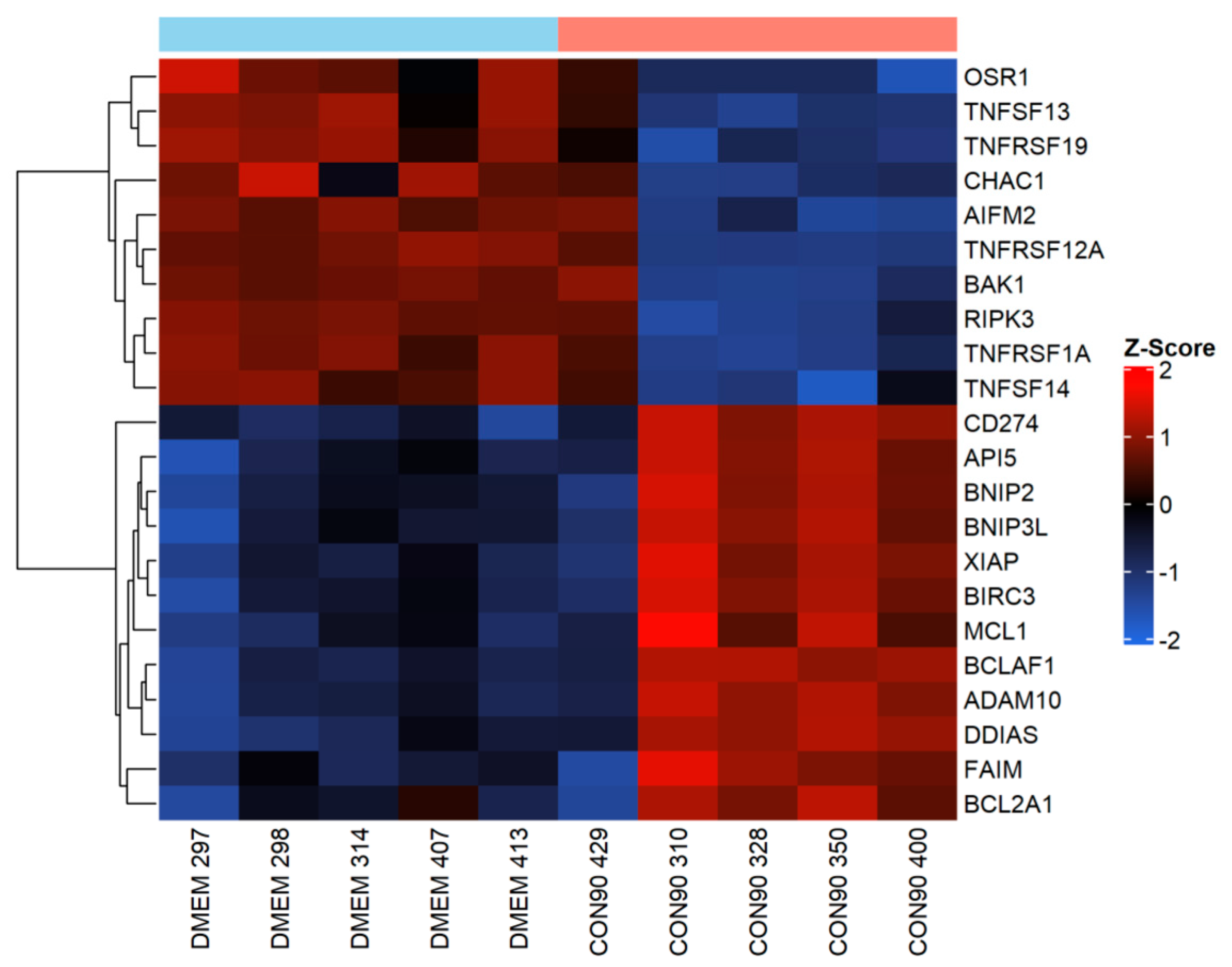 Viruses 12 00817 g005 Viruses 12 00817 g005