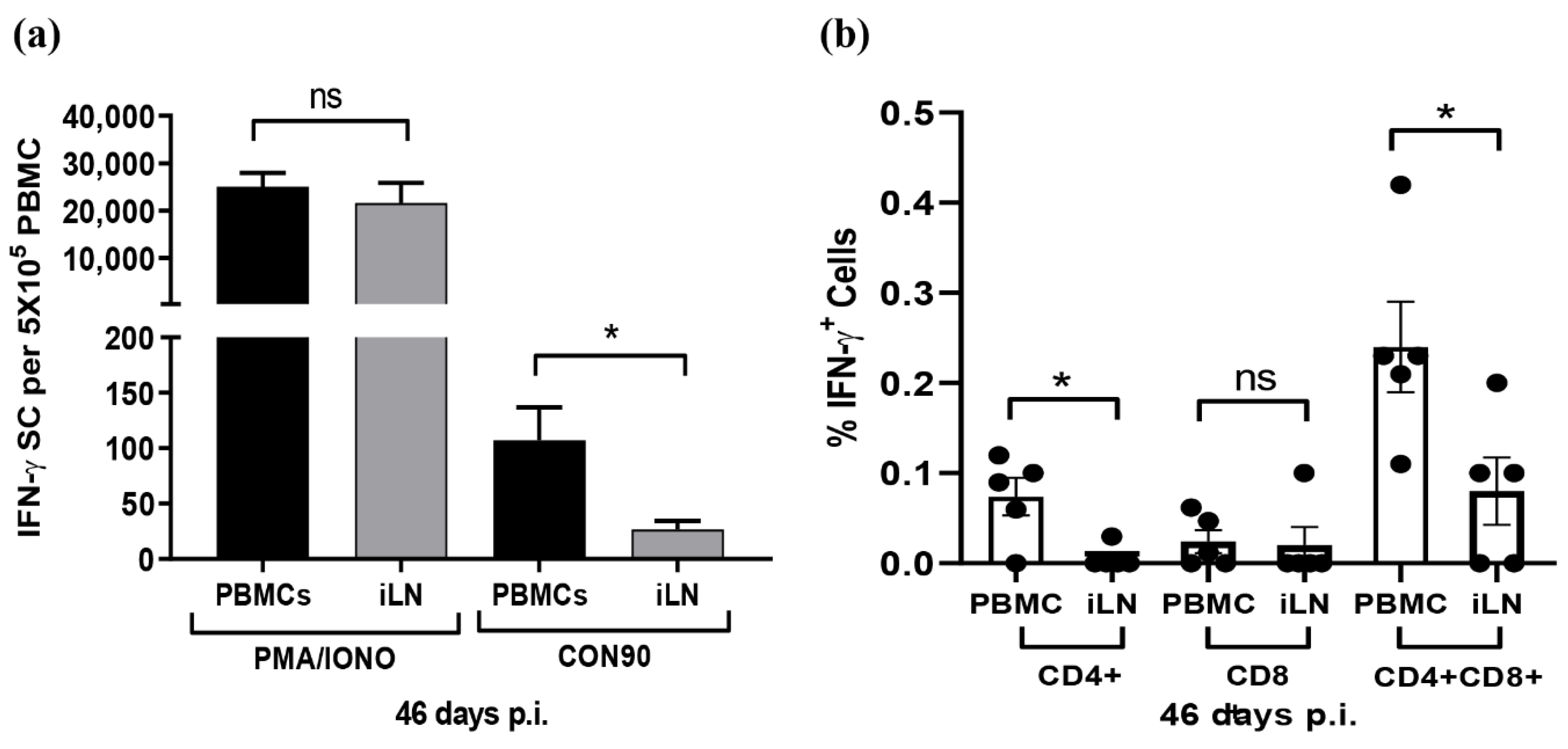 Viruses 12 00817 g007 Viruses 12 00817 g007