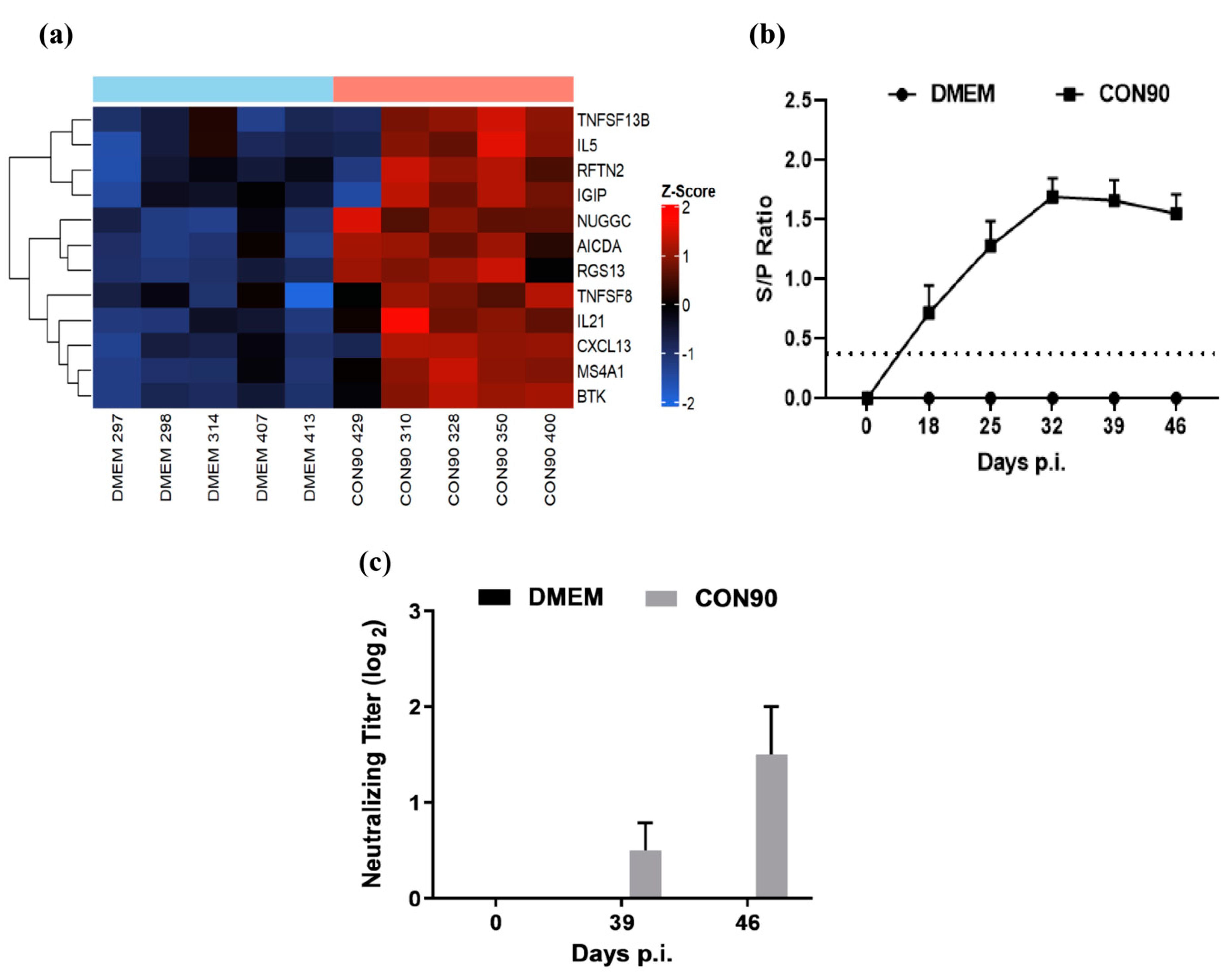 Viruses 12 00817 g008 Viruses 12 00817 g008