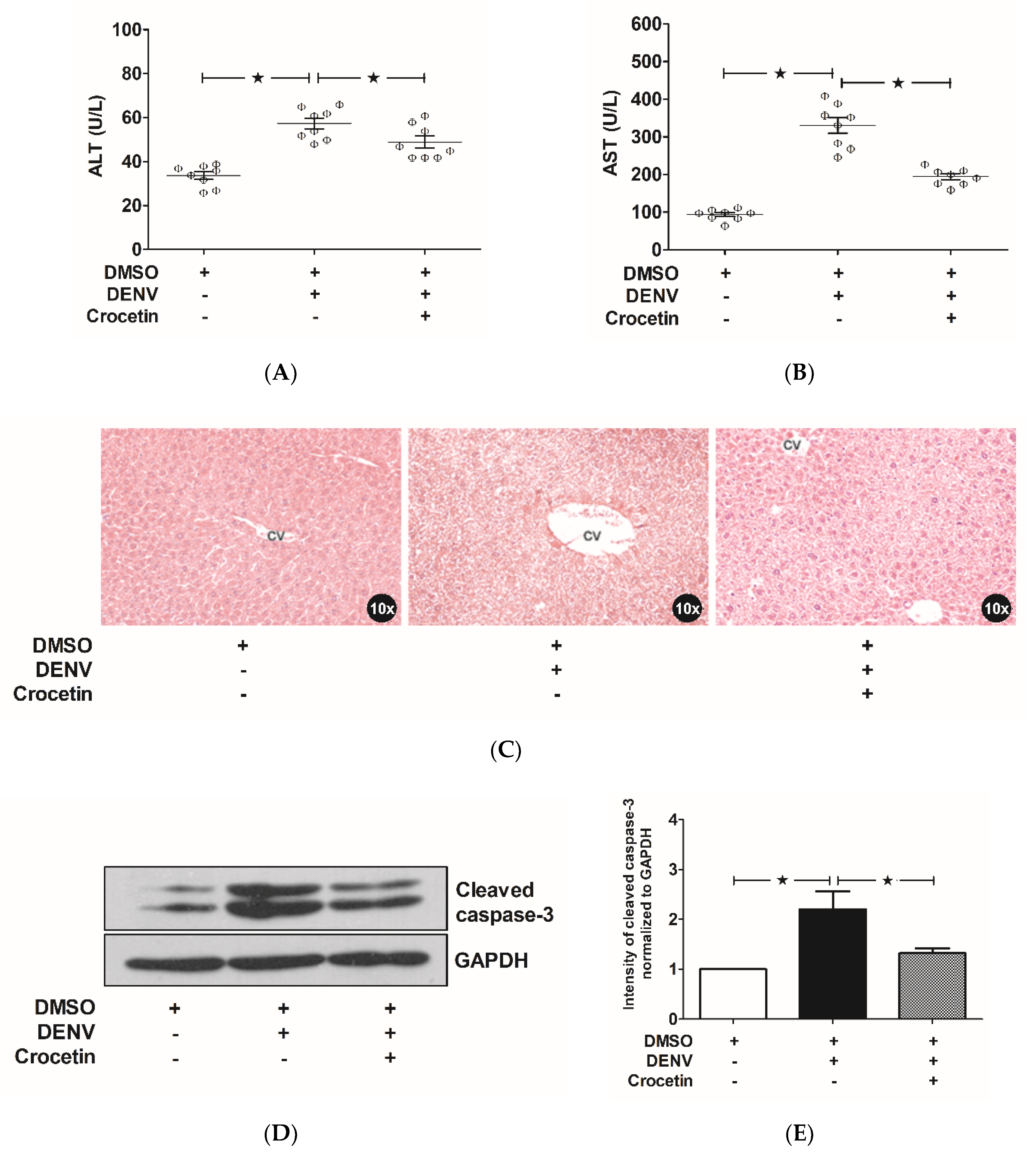 Viruses 12 00825 g003 Viruses 12 00825 g003