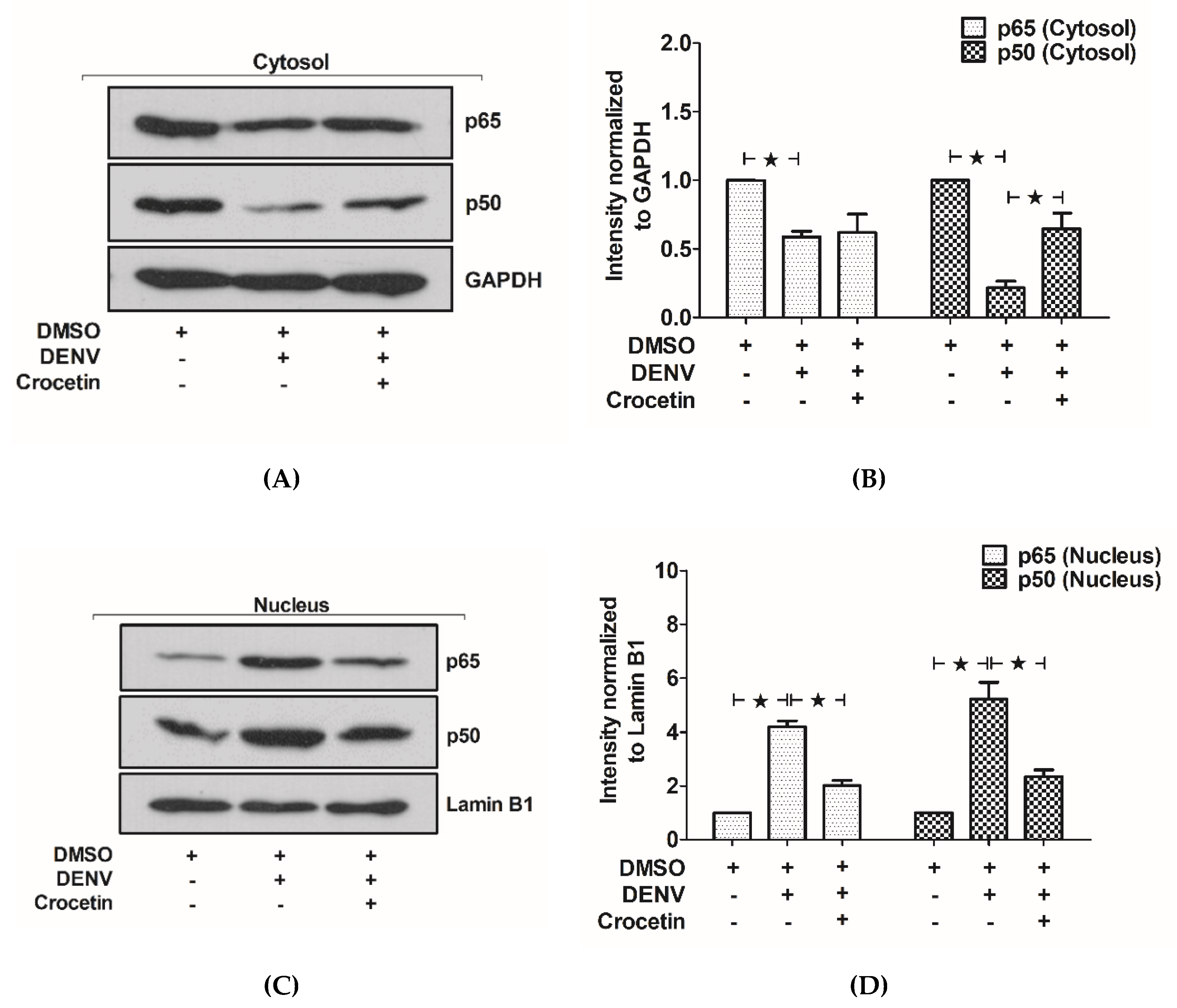 Viruses 12 00825 g008 Viruses 12 00825 g008