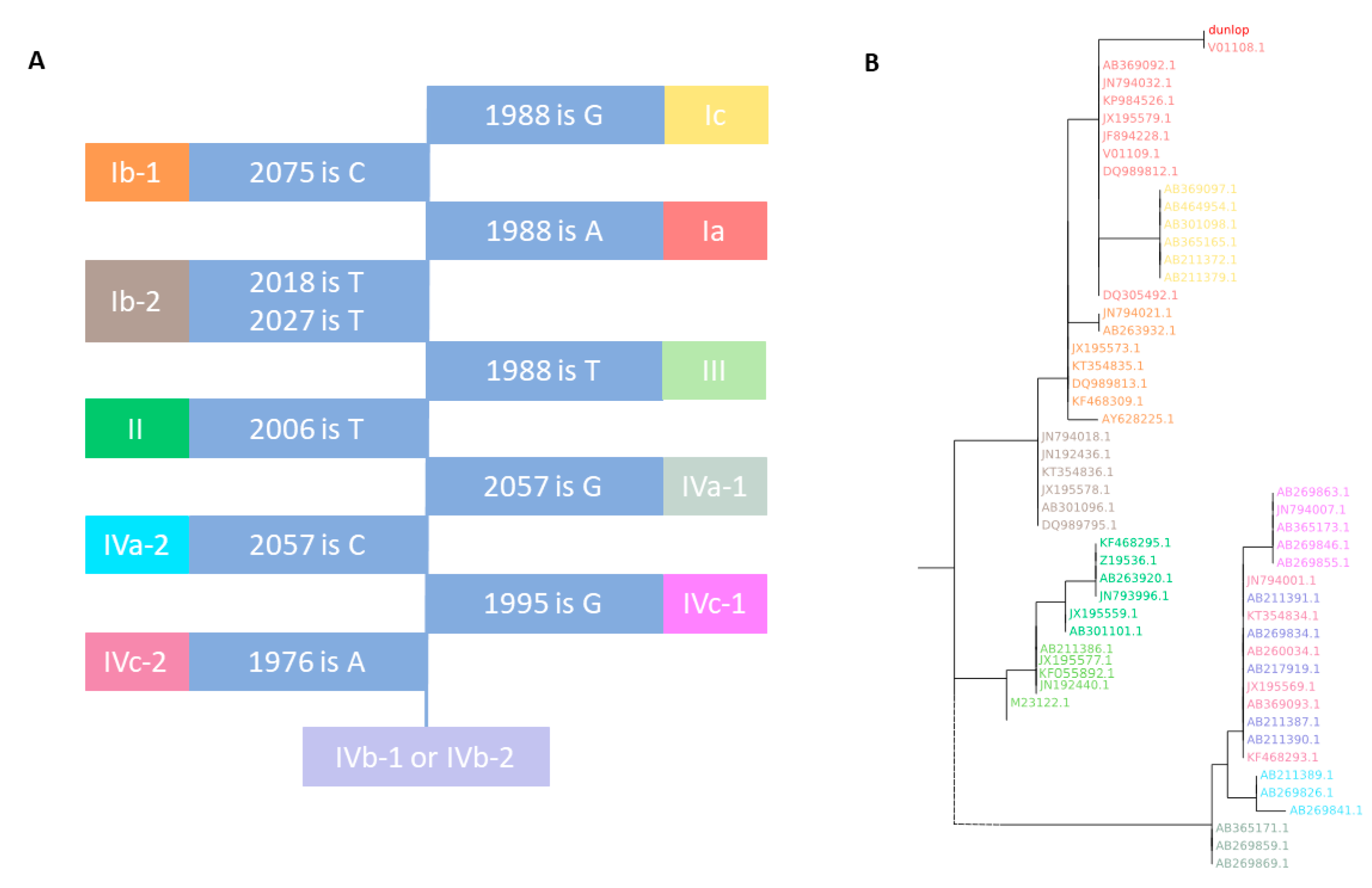 Viruses 12 00837 g001