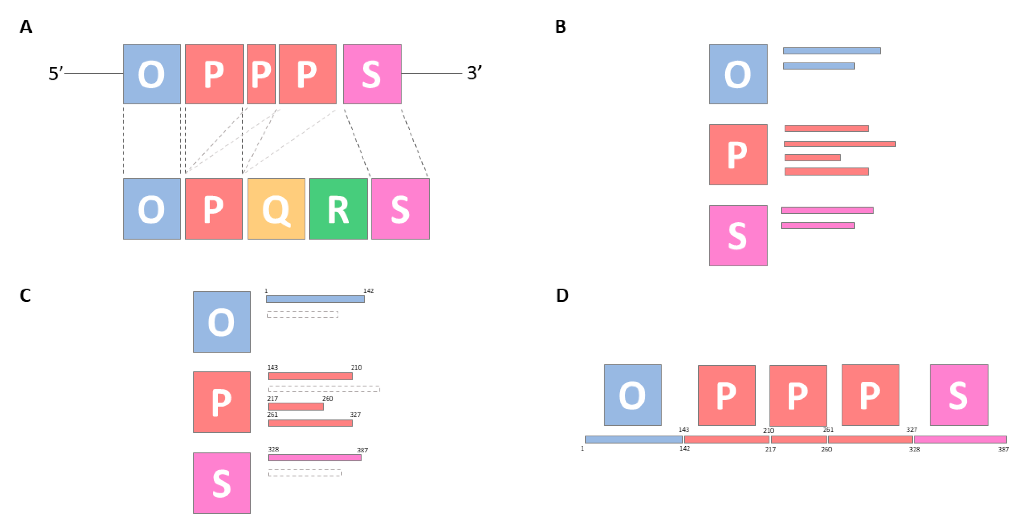 Viruses 12 00837 g003