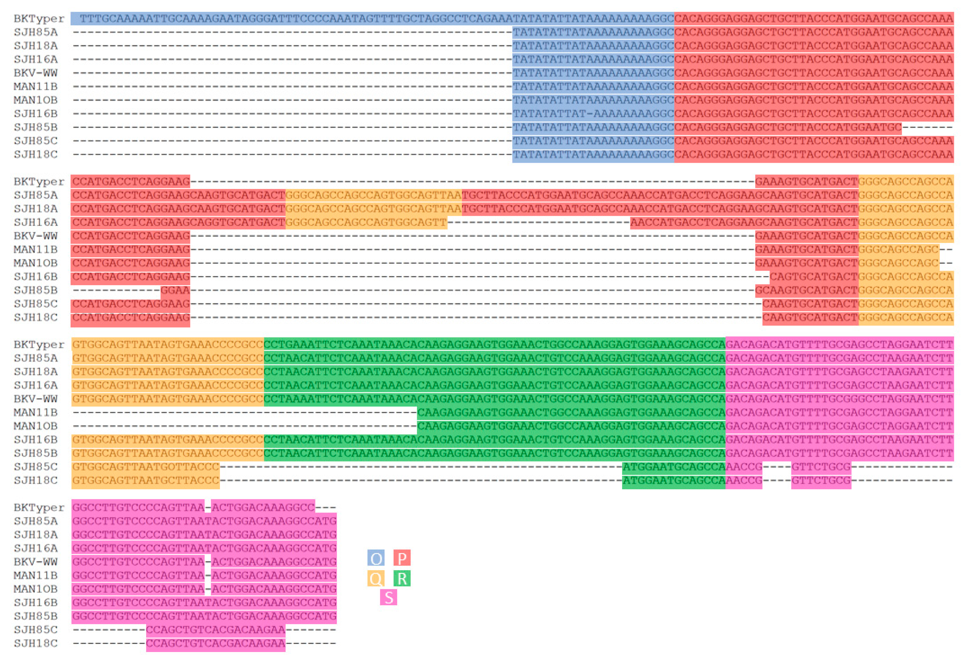 Viruses 12 00837 g005