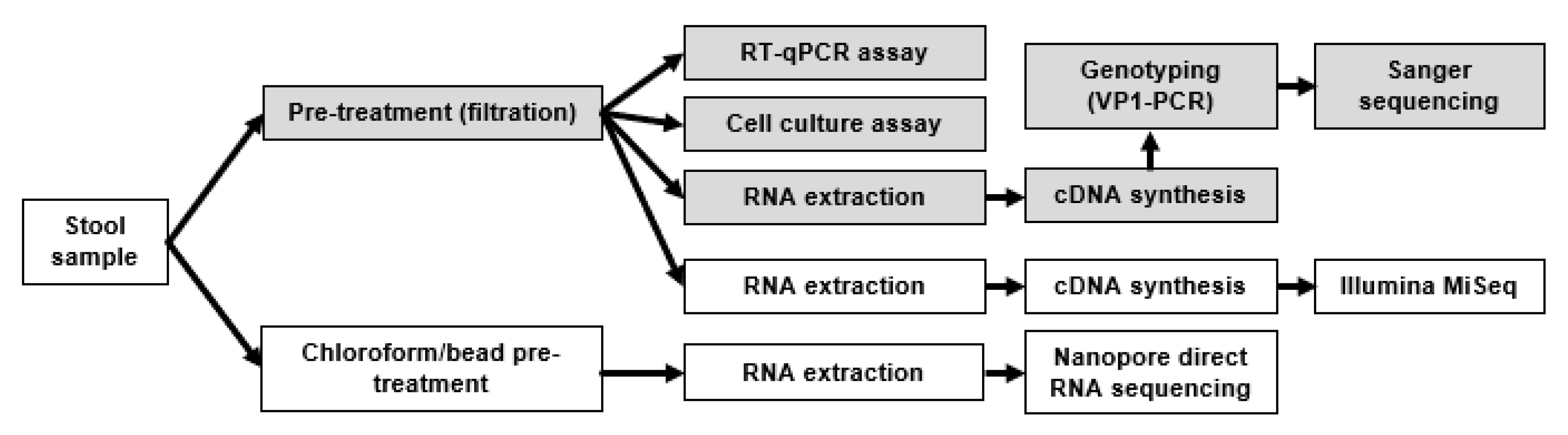 Viruses 12 00841 g001