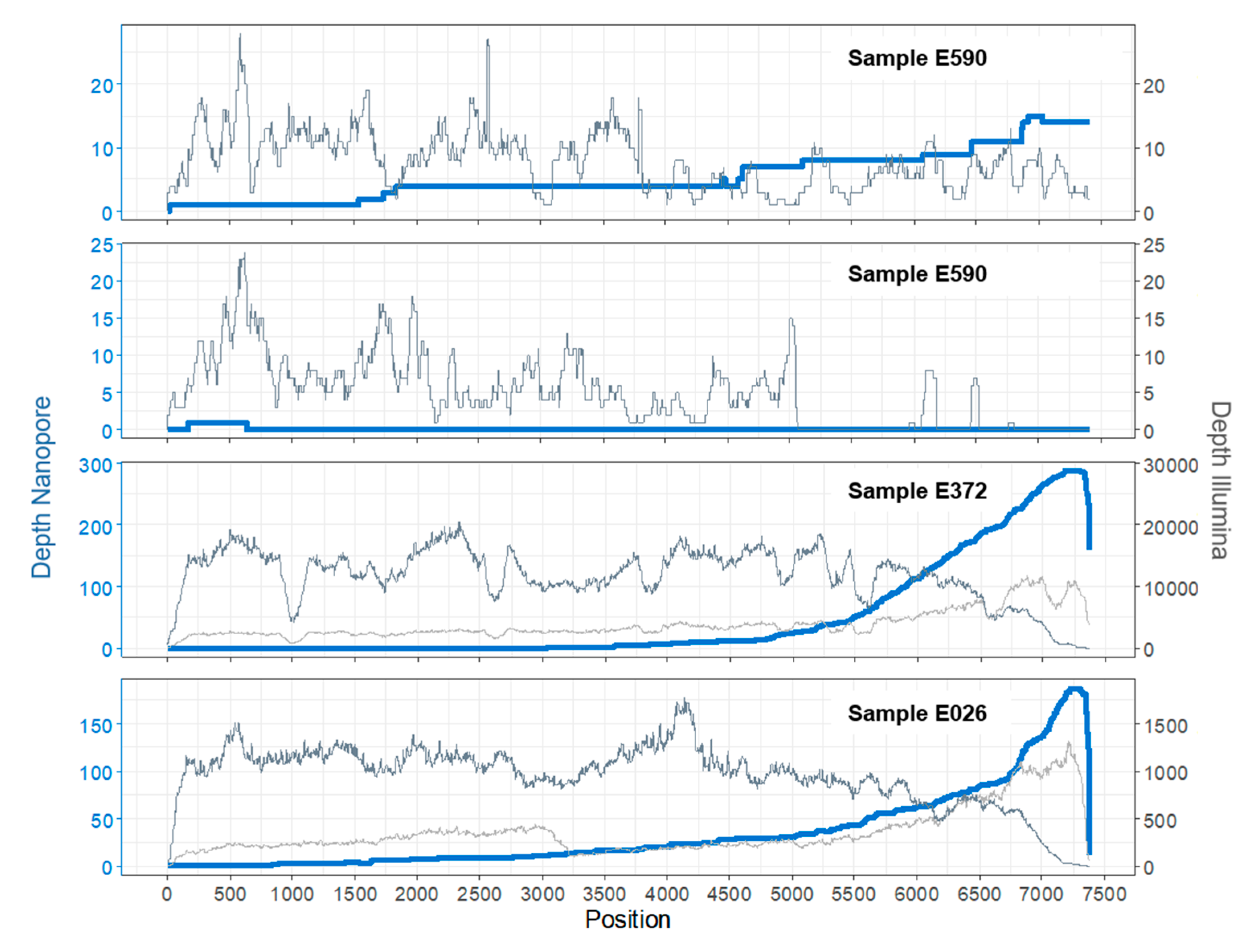 Viruses 12 00841 g002