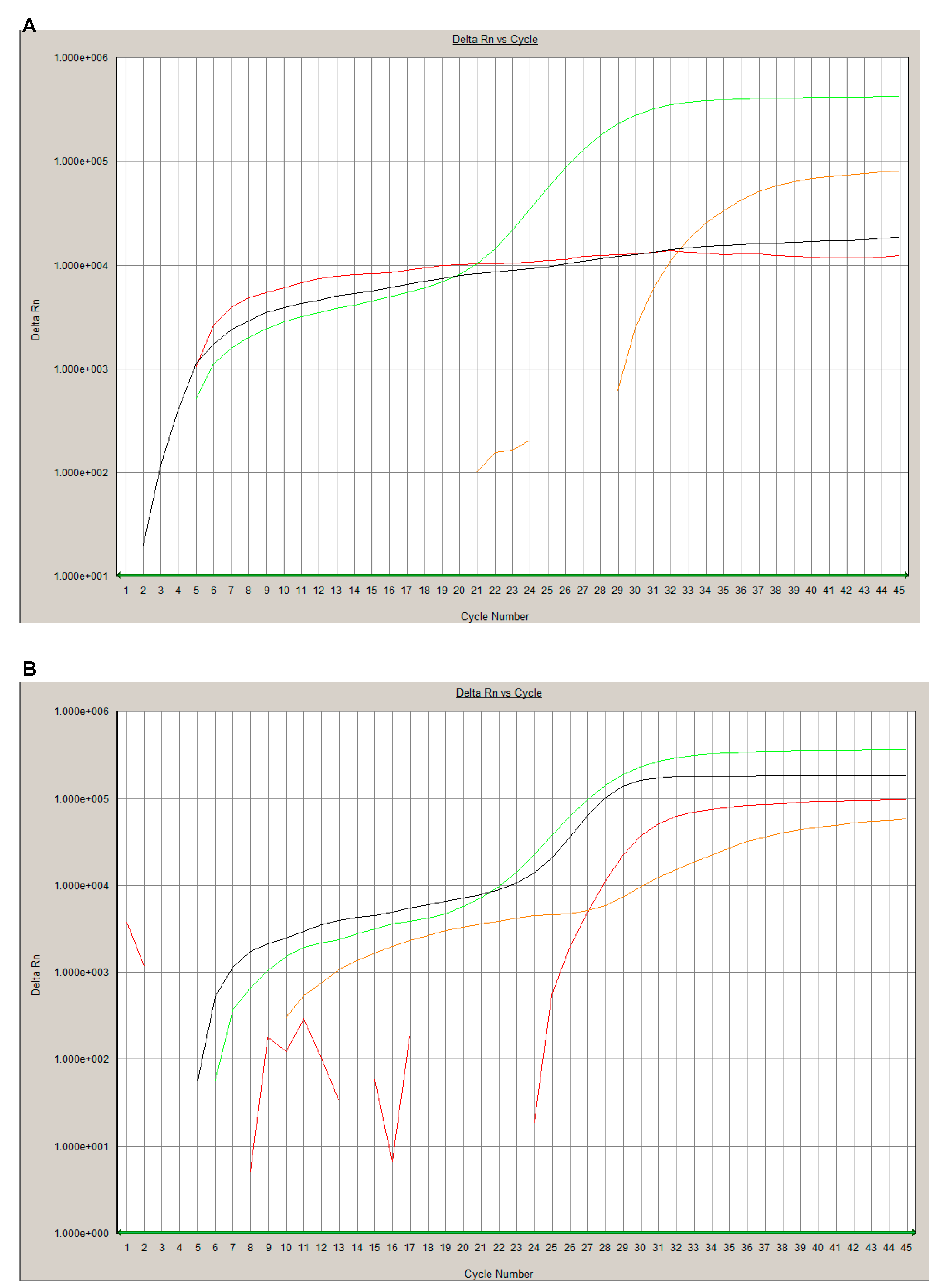 Viruses 12 00849 g001