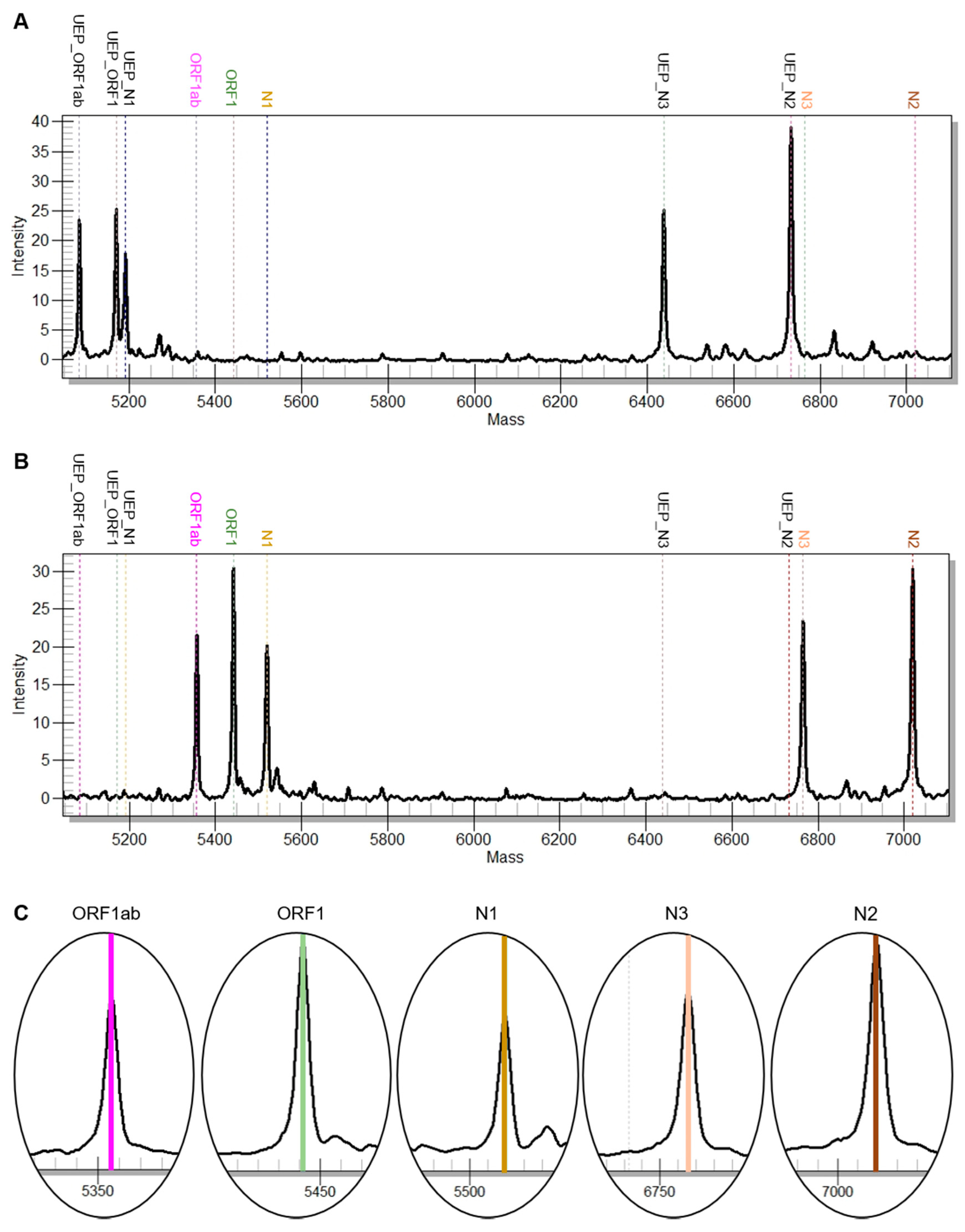 Viruses 12 00849 g002