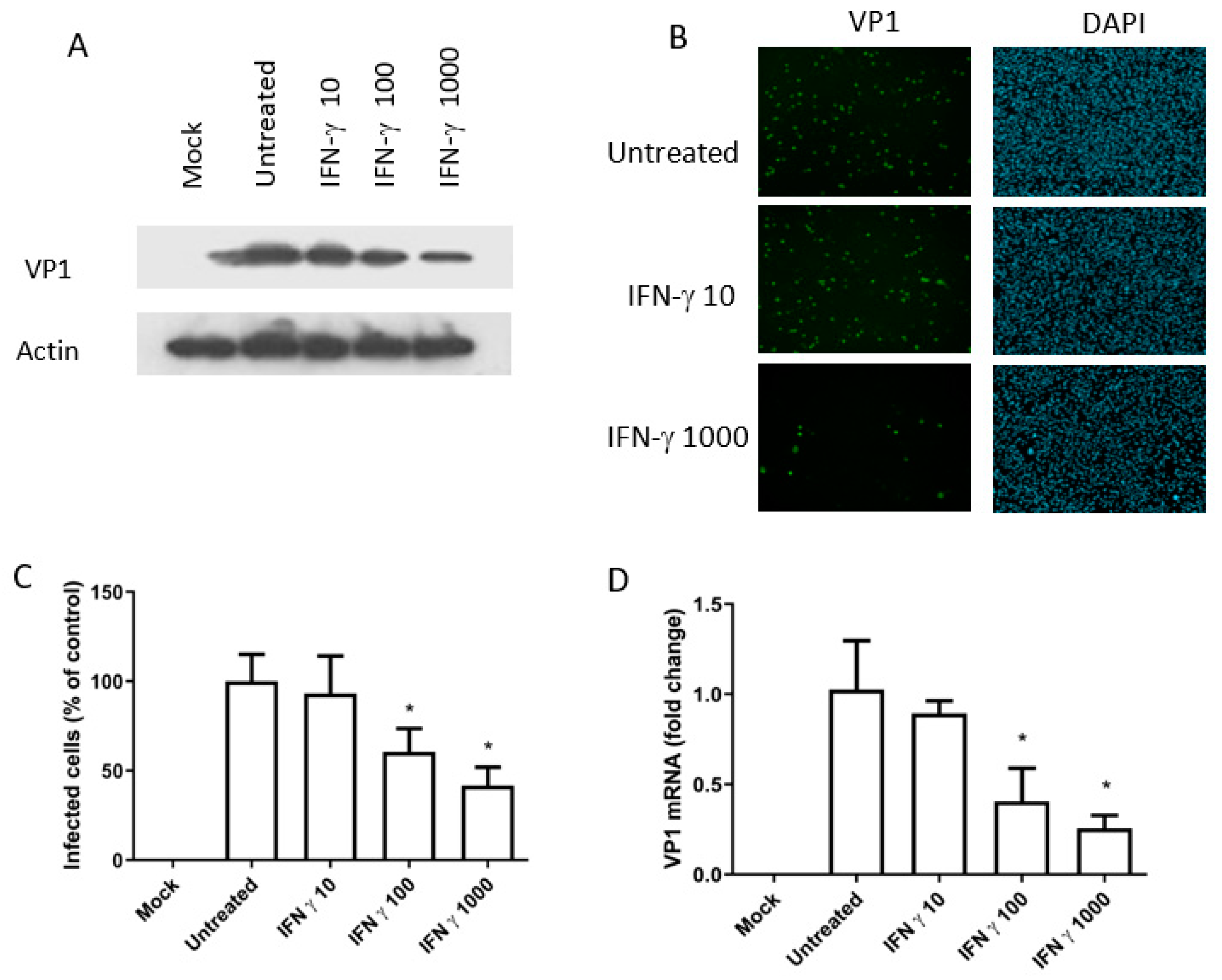 Viruses 12 00865 g003