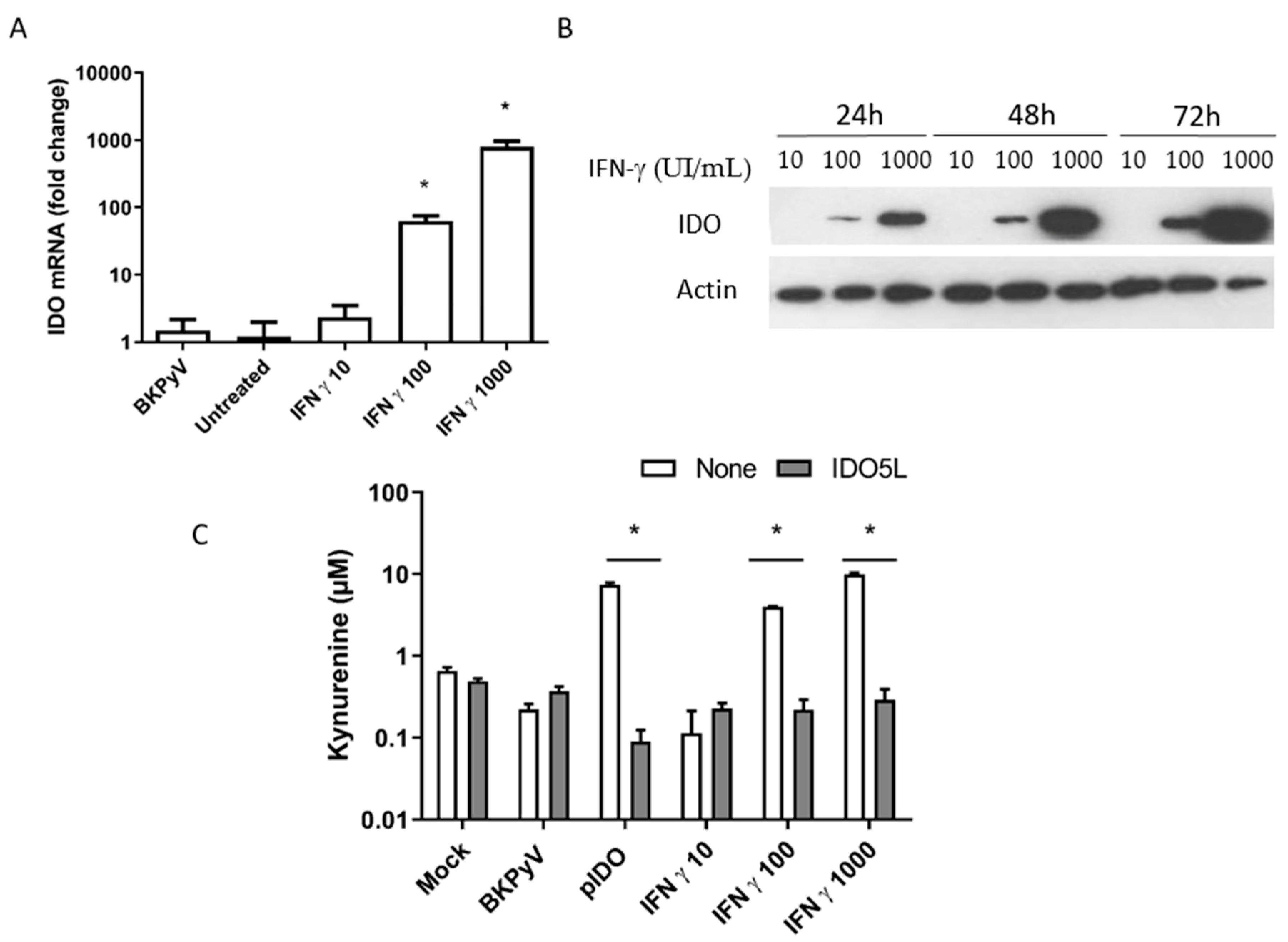 Viruses 12 00865 g004